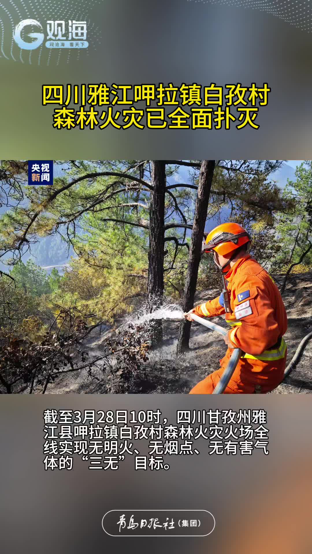 四川雅江呷拉镇白孜村森林火灾已全面扑灭