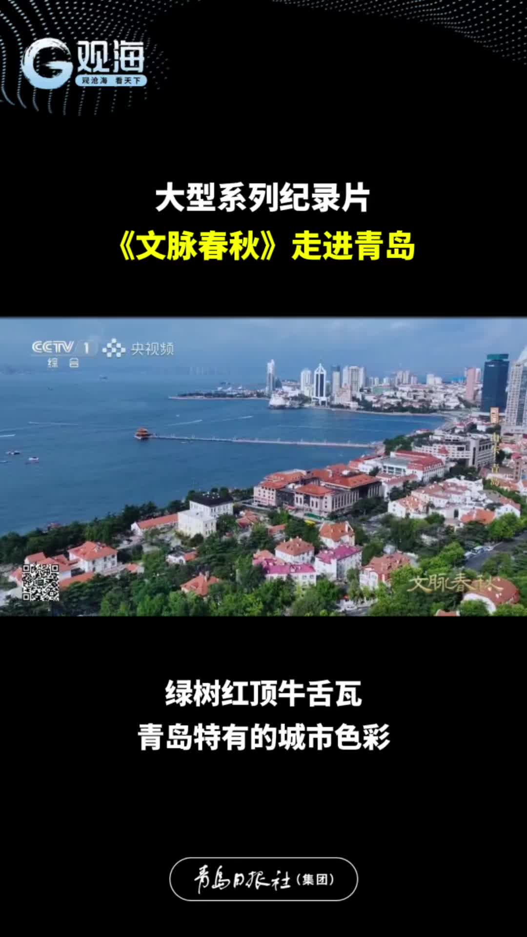 《文脉春秋》走进青岛丨绿树红顶牛舌瓦，青岛特有的城市色彩