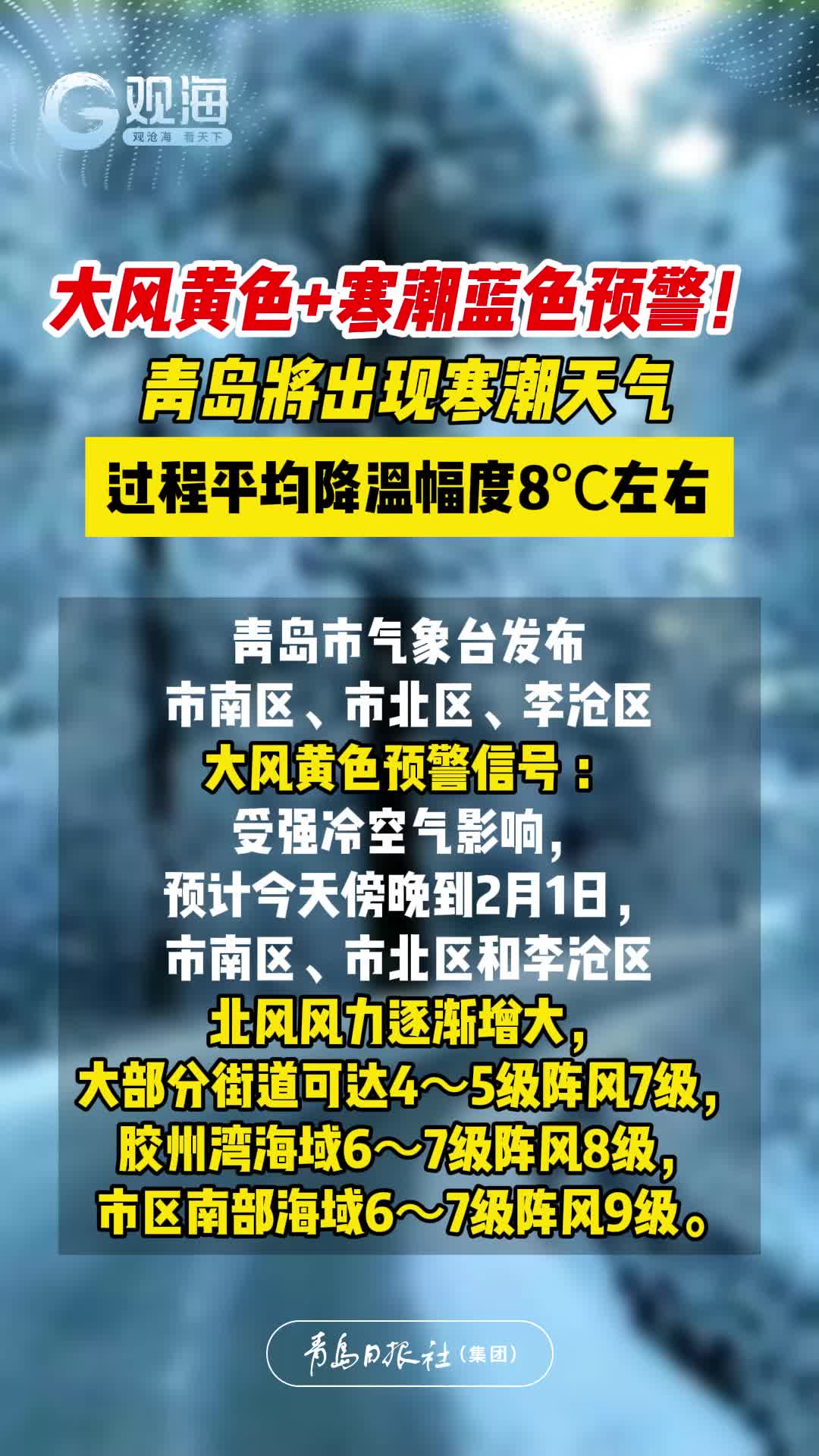 大风黄色+寒潮蓝色预警！青岛将出现寒潮天气，过程平均降温幅度8℃左右