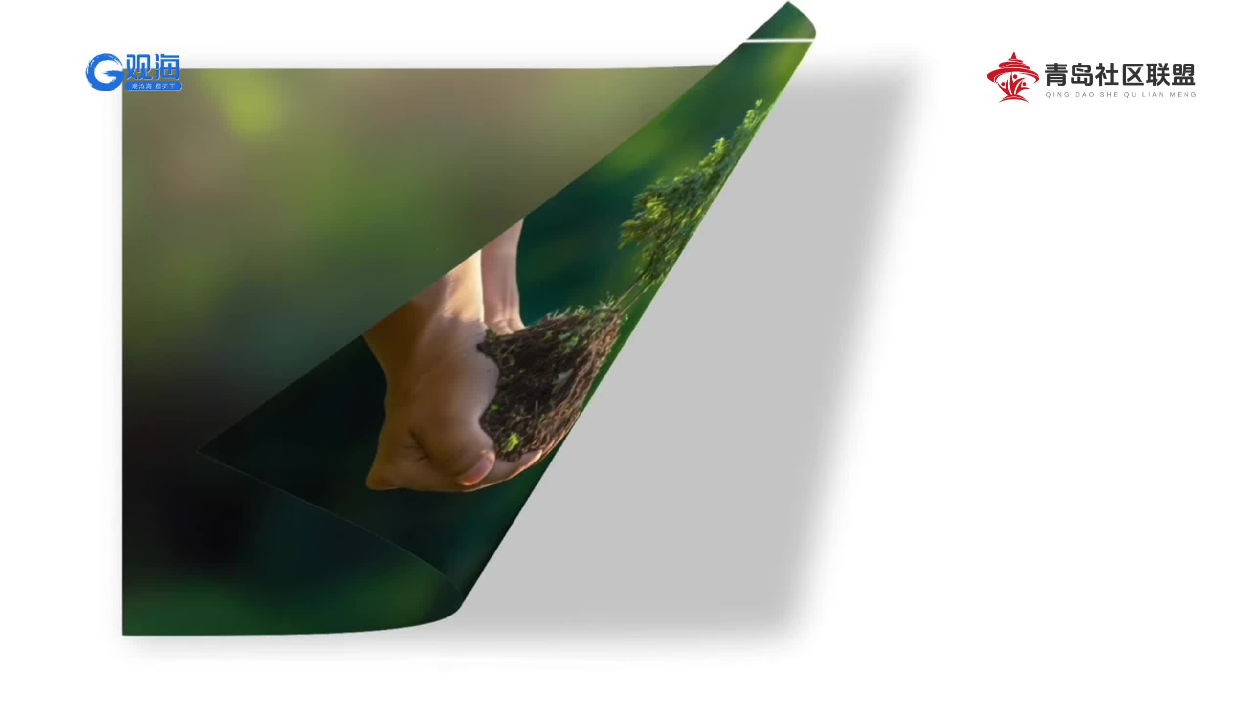 多方聯(lián)動(dòng)添新綠 生態(tài)共建譜新篇