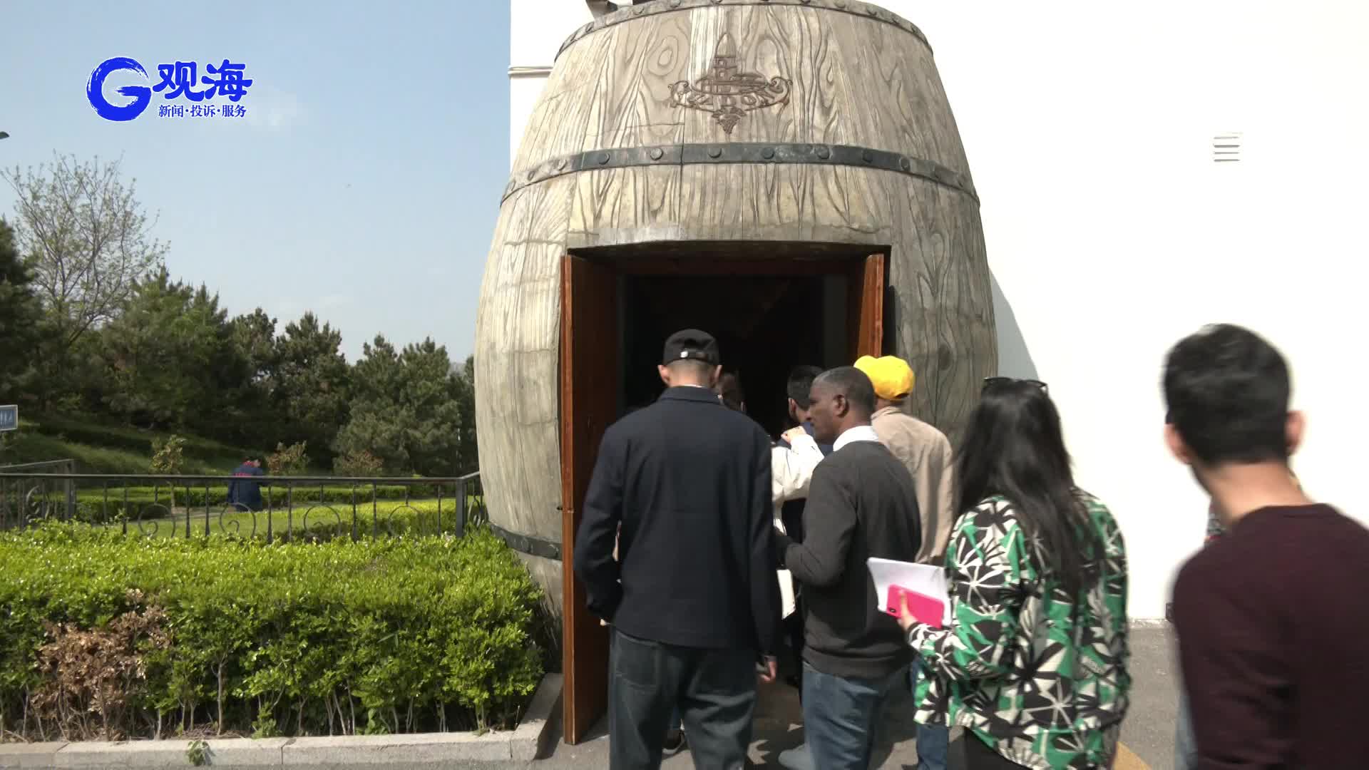 有朋自“上合”来！刚刚，又一批留学生“打卡”青岛，点赞“崂山神水”