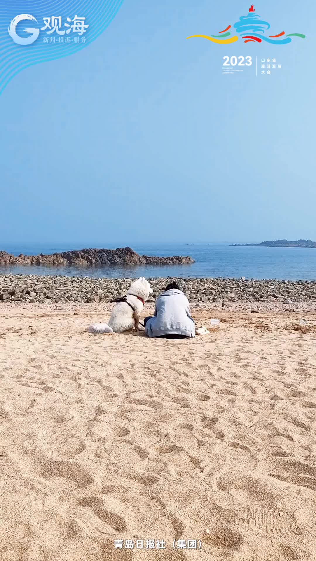 青岛的浪漫，小麦岛占一半？| 观海探探㉚