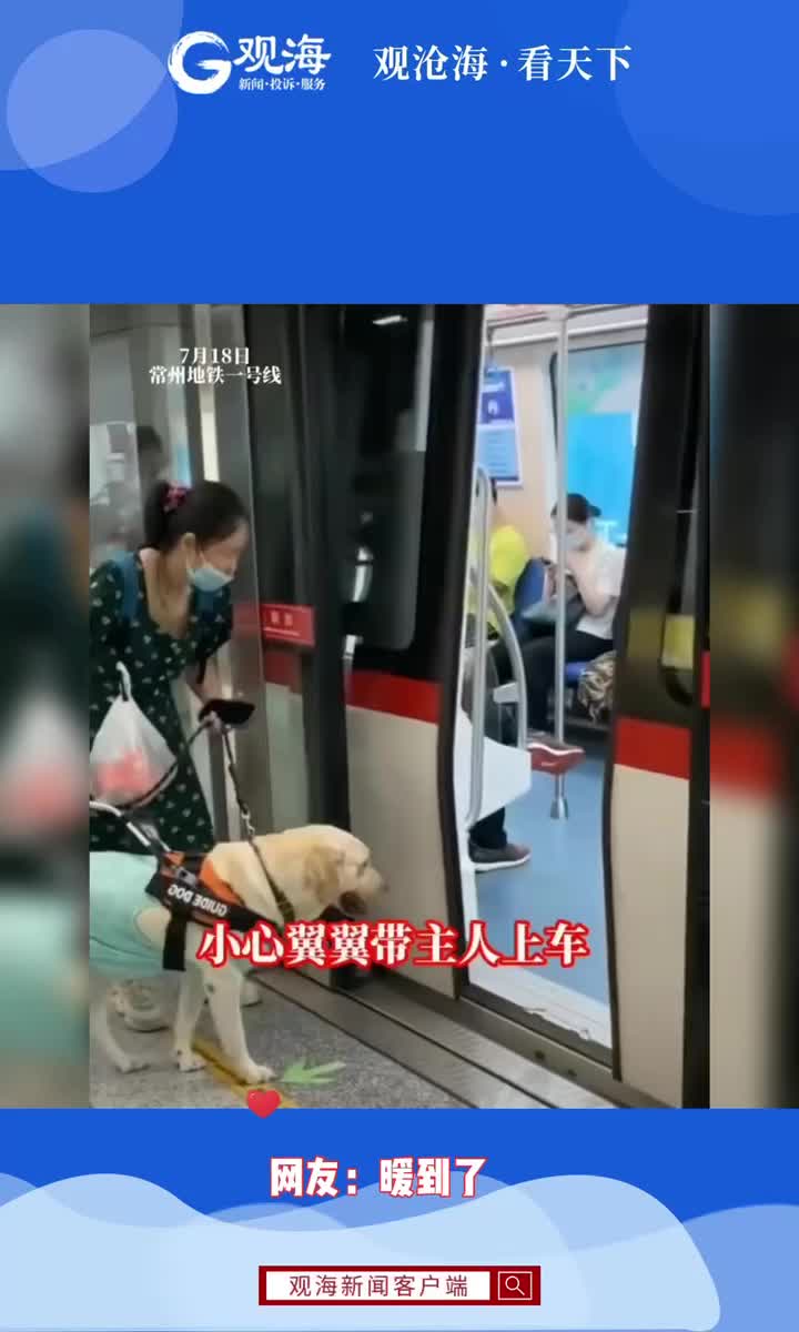 导盲犬带盲人女生坐地铁，聪明乖巧还会找座位