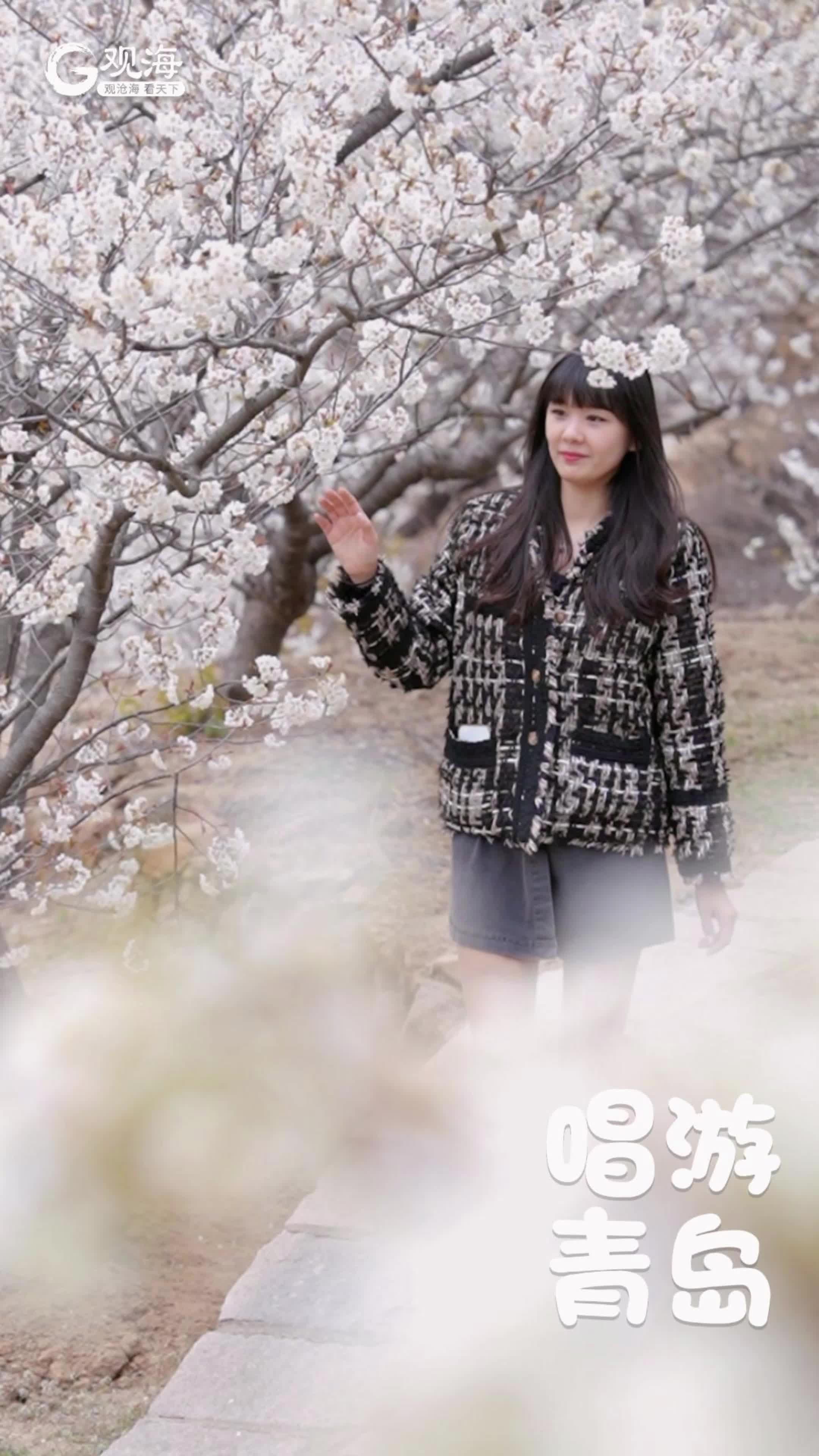 唱游青岛 | 山花烂漫，春天才有的浪漫
