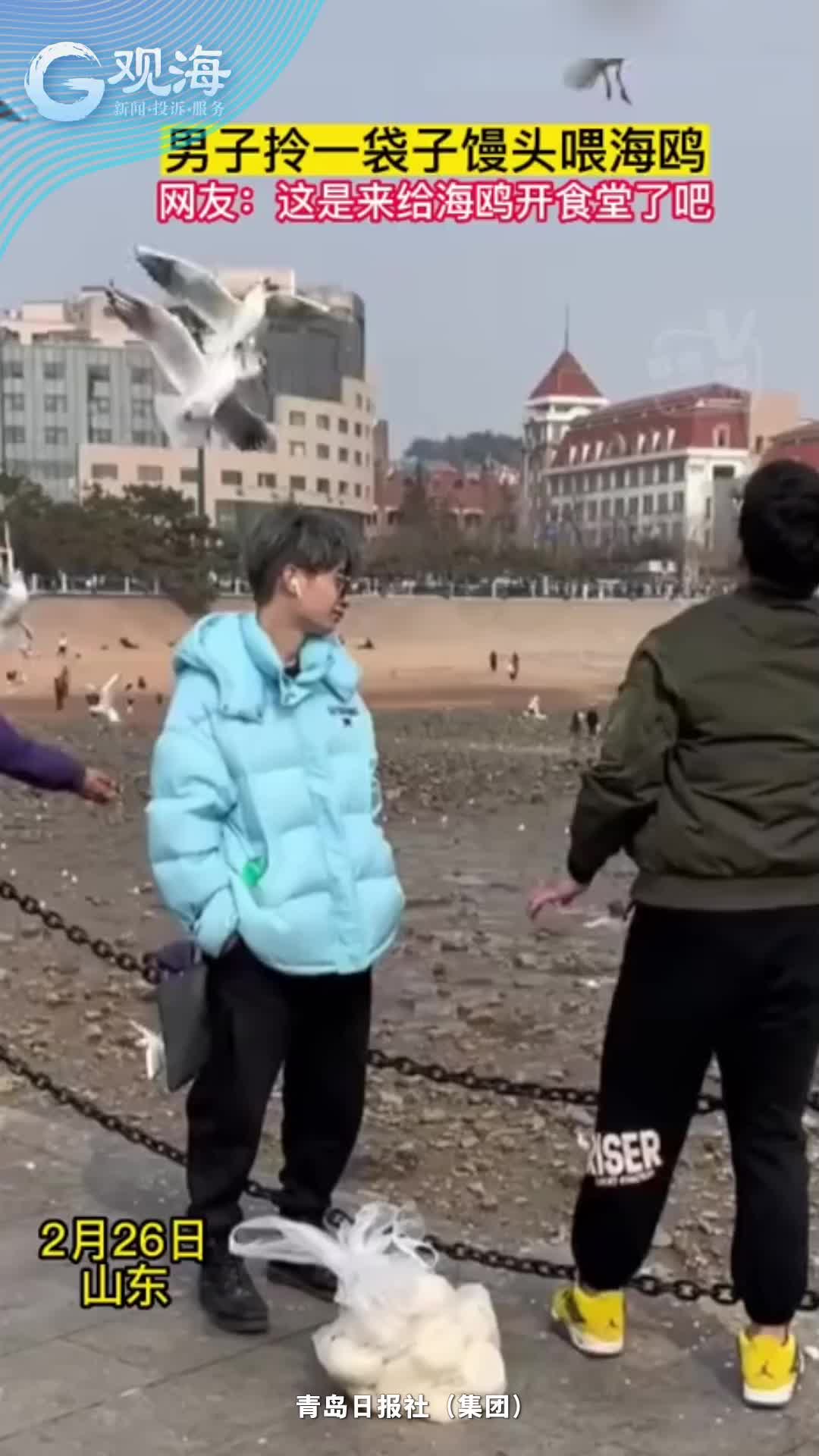 男子拎一大袋馒头喂海鸥，网友：这是给海鸥开食堂了