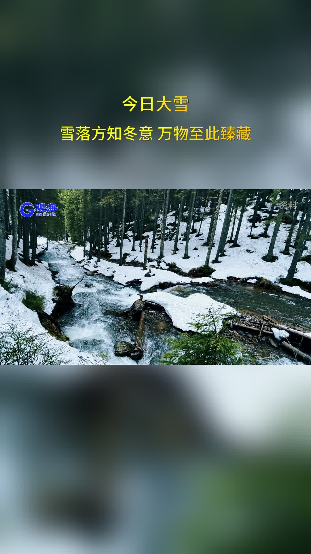今日大雪：雪落方知冬意，万物至此臻藏