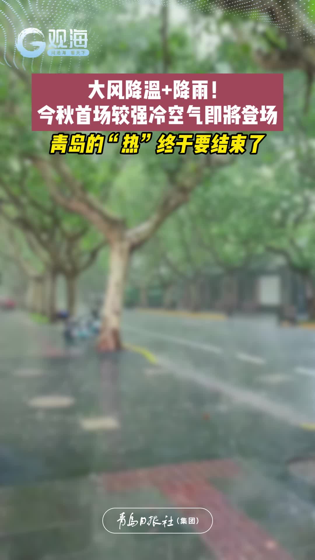 大风降温+降雨！今秋首场较强冷空气即将登场，青岛的“热”终于要结束了