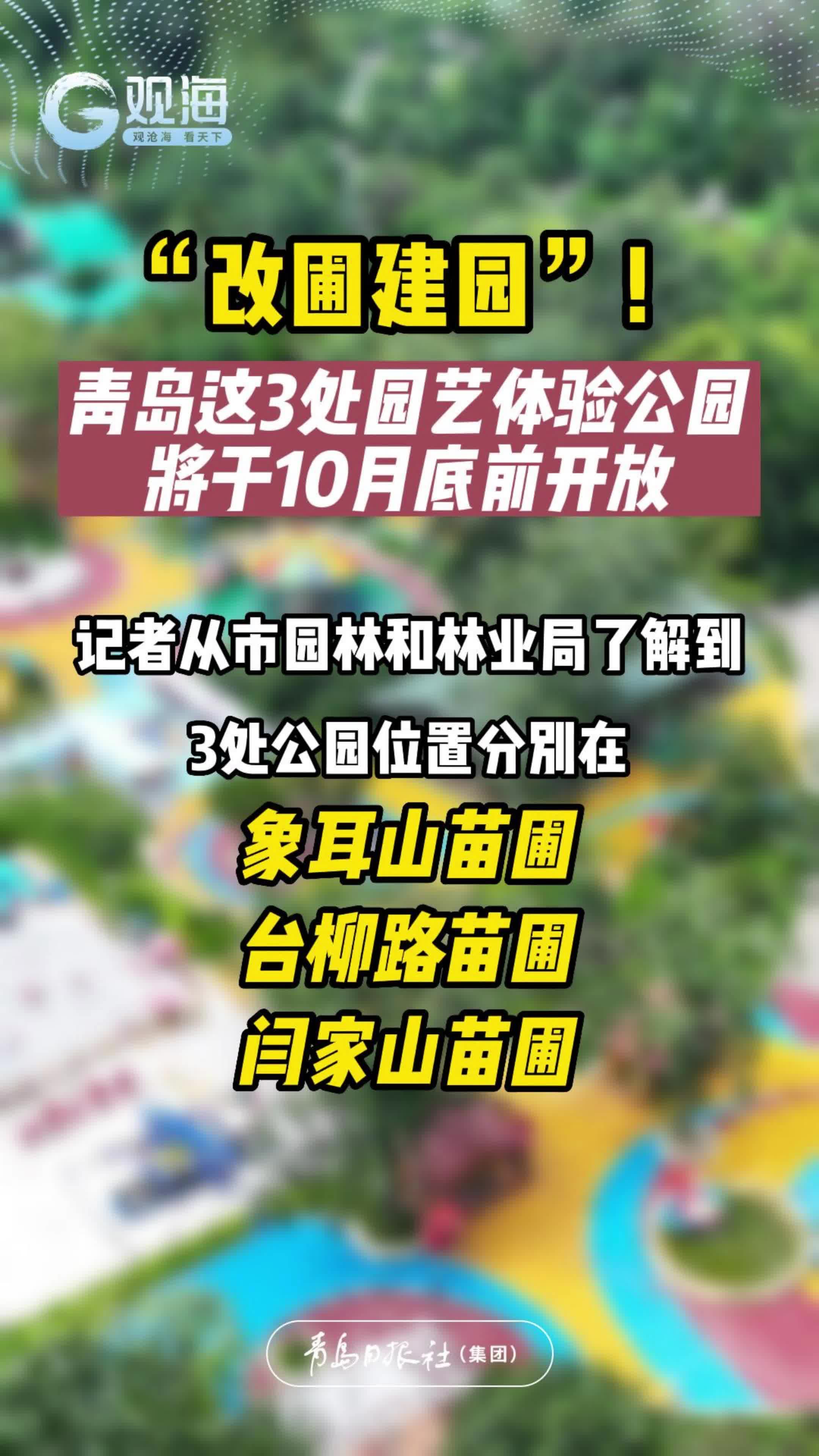 “改圃建园”！青岛这3处园艺体验公园将于10月底前开放