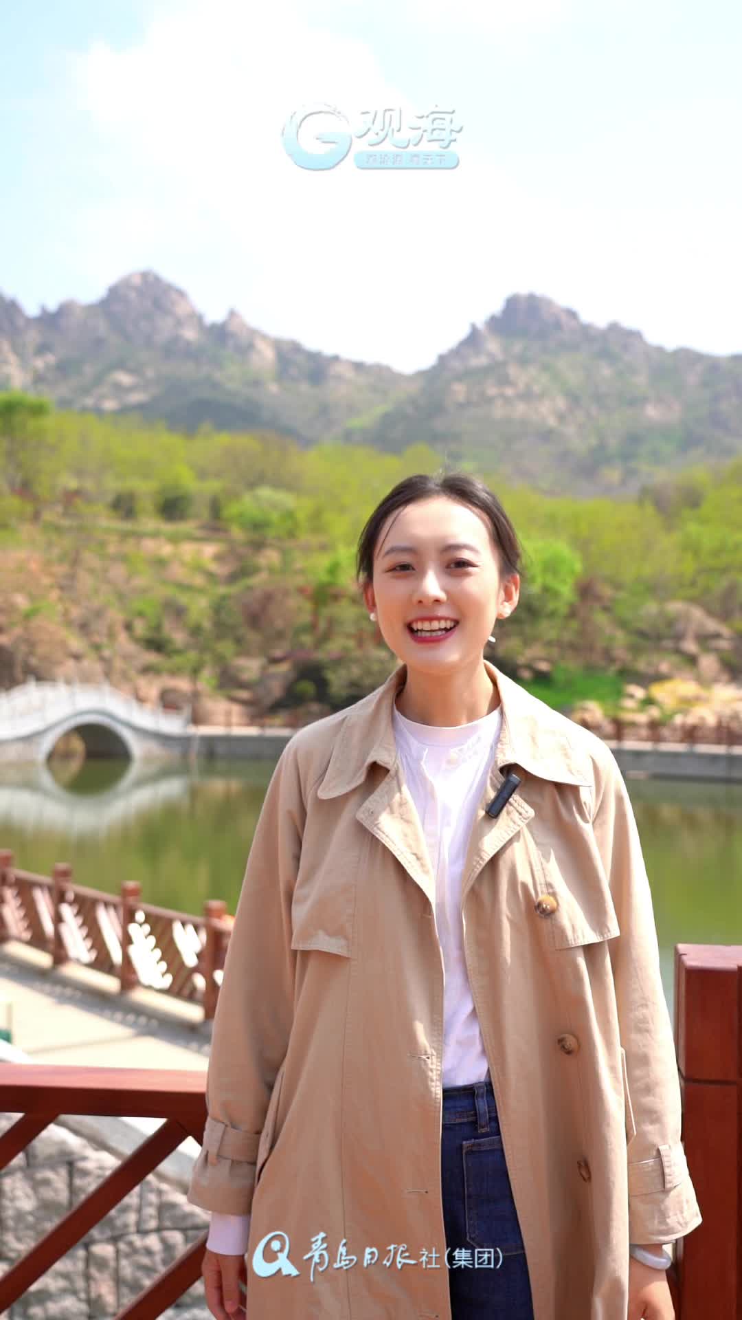 刚刚，咱的“城市绿肺”更新啦！浮山森林公园，逛起来|向上青岛
