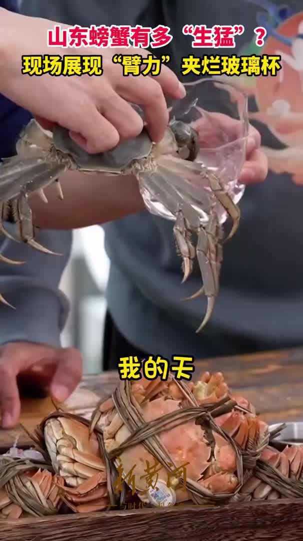 山东螃蟹有多生猛？东方甄选直播间现场夹烂玻璃杯，董宇辉直呼“我的天！”