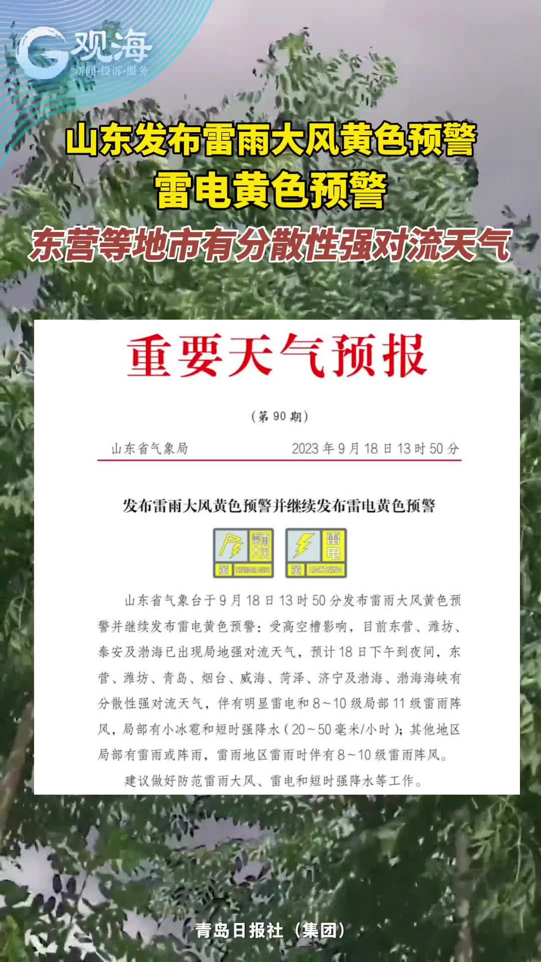 山东发布雷雨大风黄色、雷电黄色预警 东营等地市有分散性强对流天气