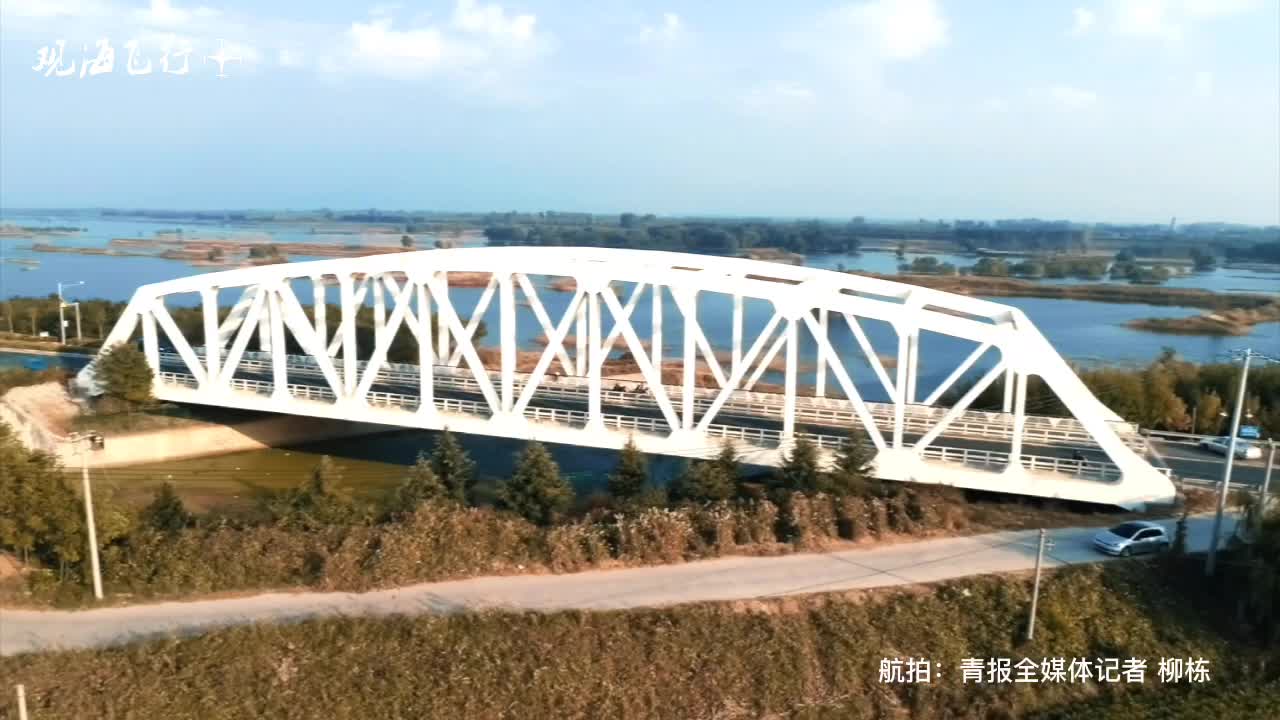 秋日大沽河畔的“宝藏小白桥”