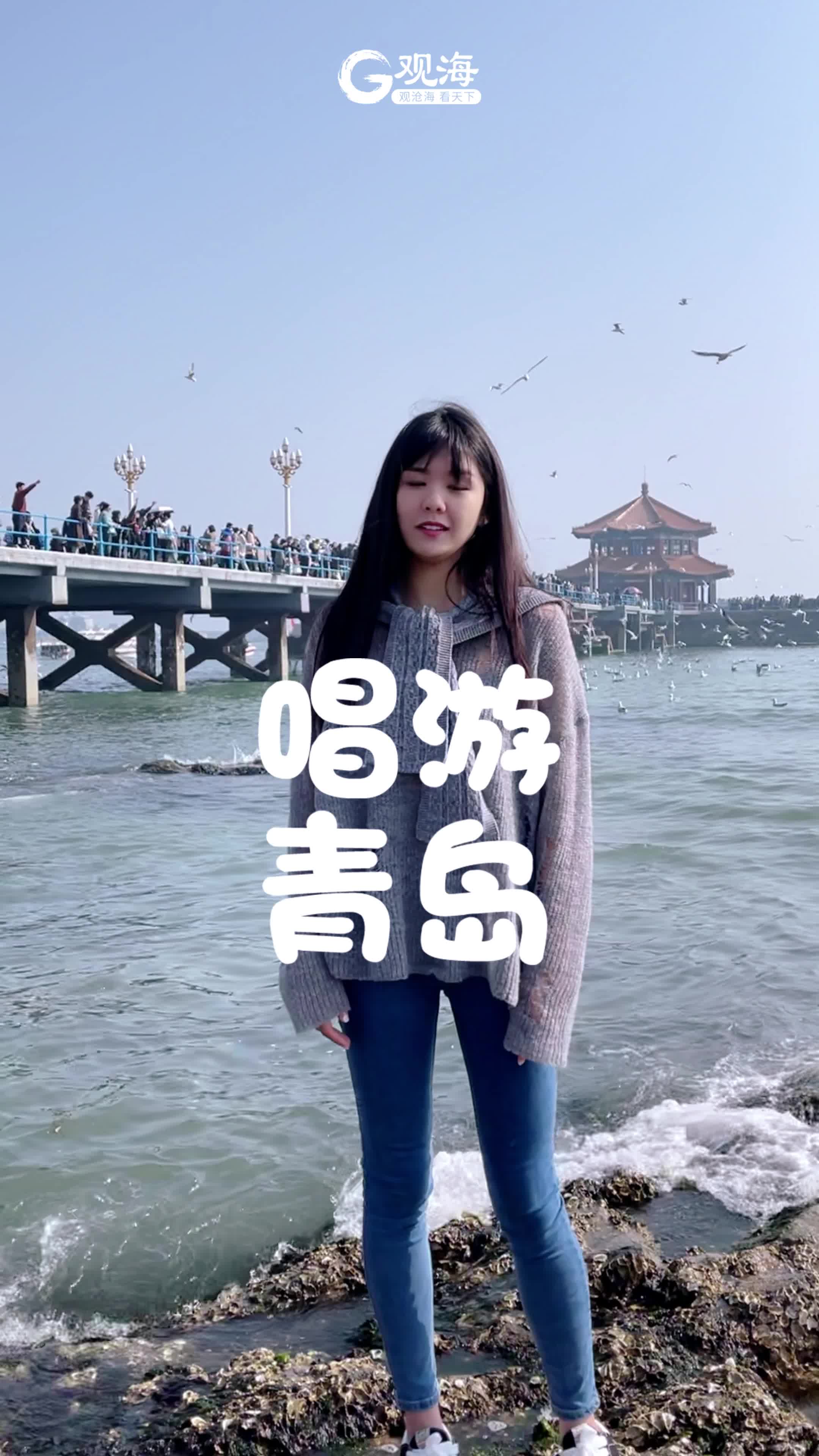 唱游青岛 | 栈桥鸥遇，独属青岛的浪漫
