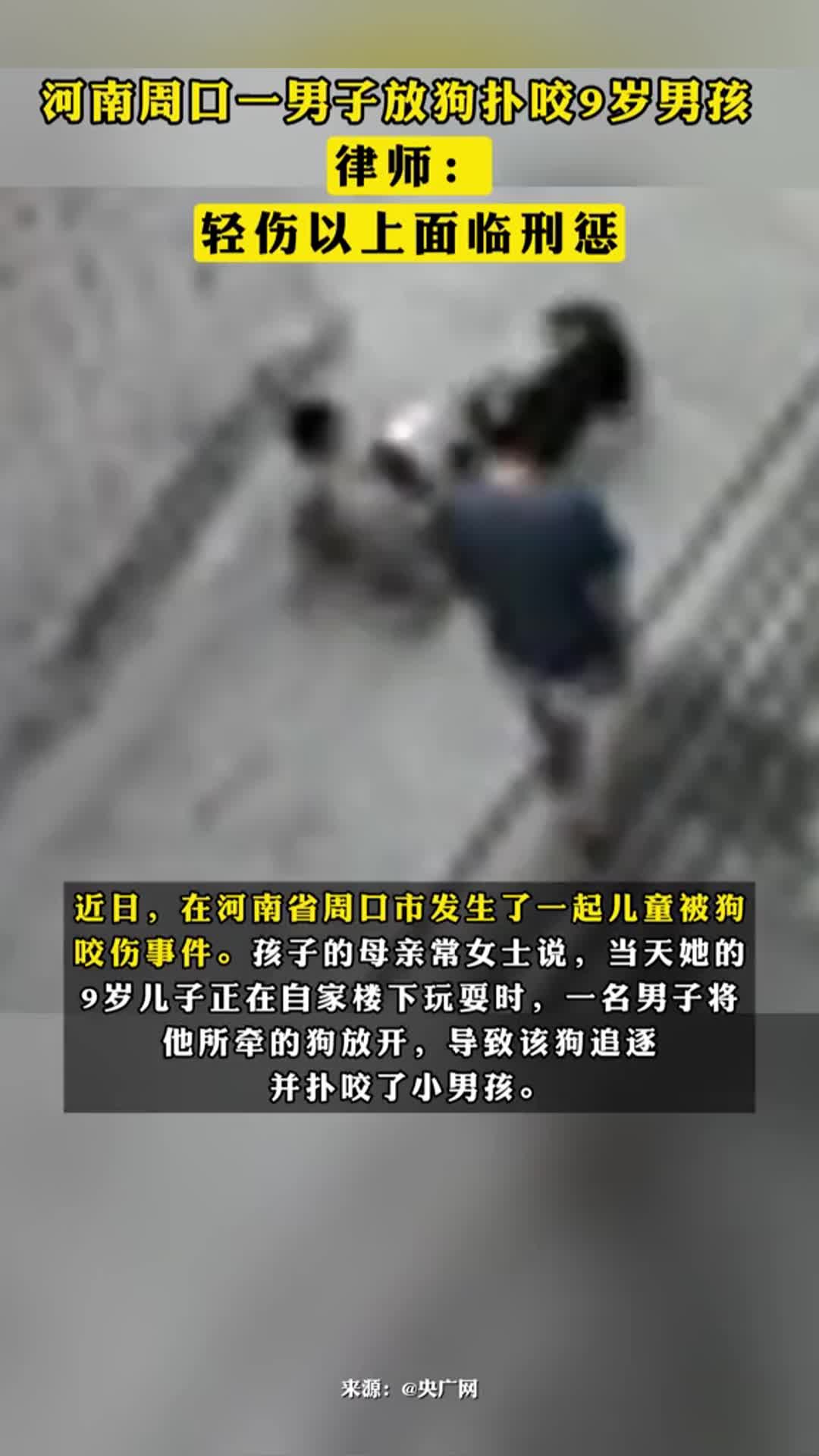 
河南周口一男子放狗扑咬9岁男孩，律师：轻伤以上面临刑惩