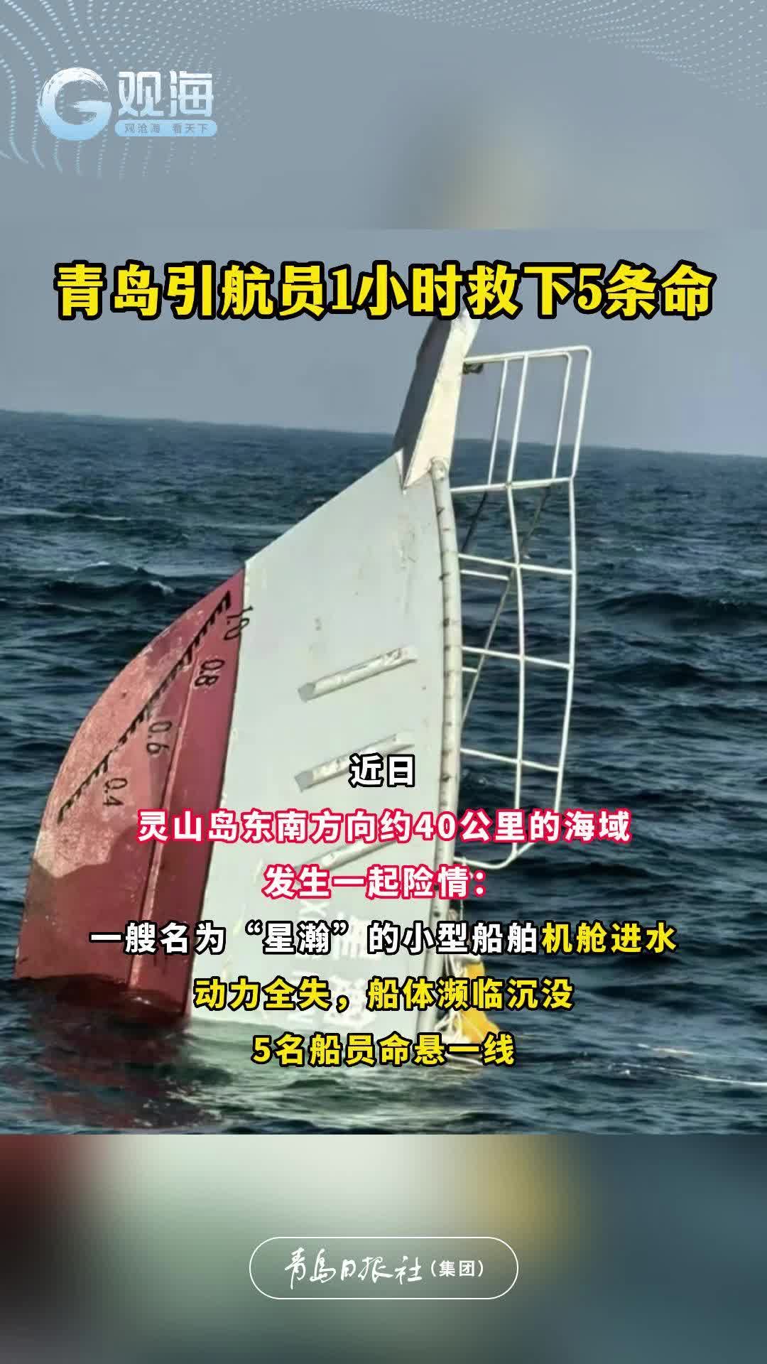 青岛引航员1小时救下5条命