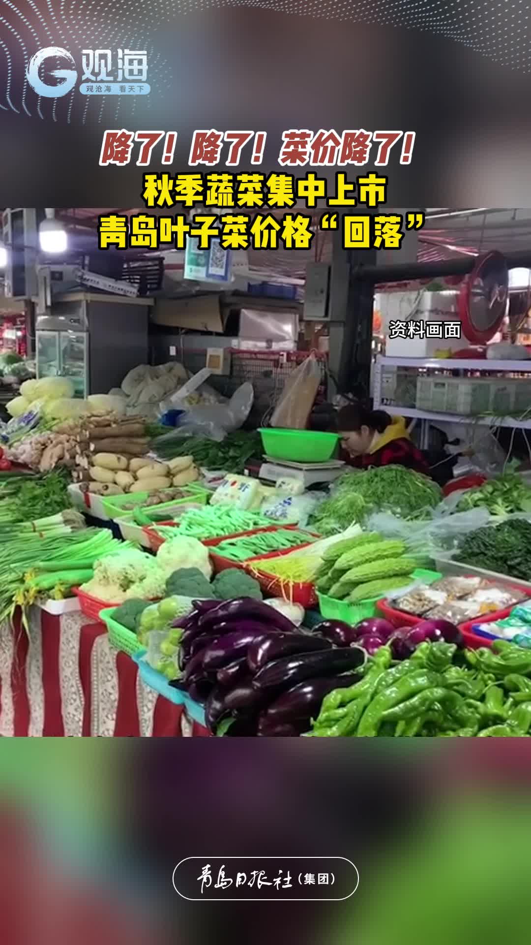 降了！降了！菜价降了！秋季蔬菜集中上市，青岛叶子菜价格“回落”