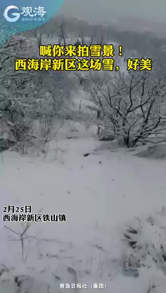 老乡喊你来拍雪景