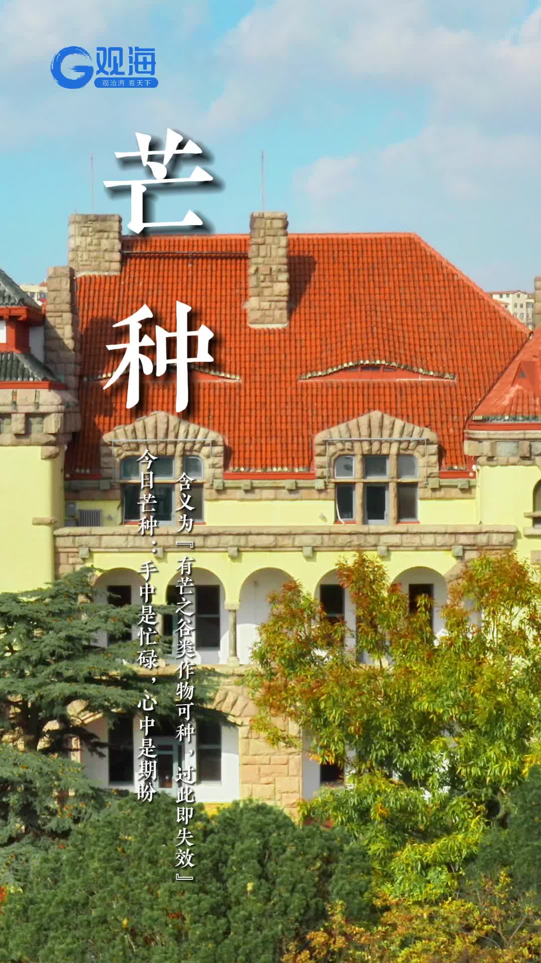 今日芒种：手中是忙碌，心中是期盼