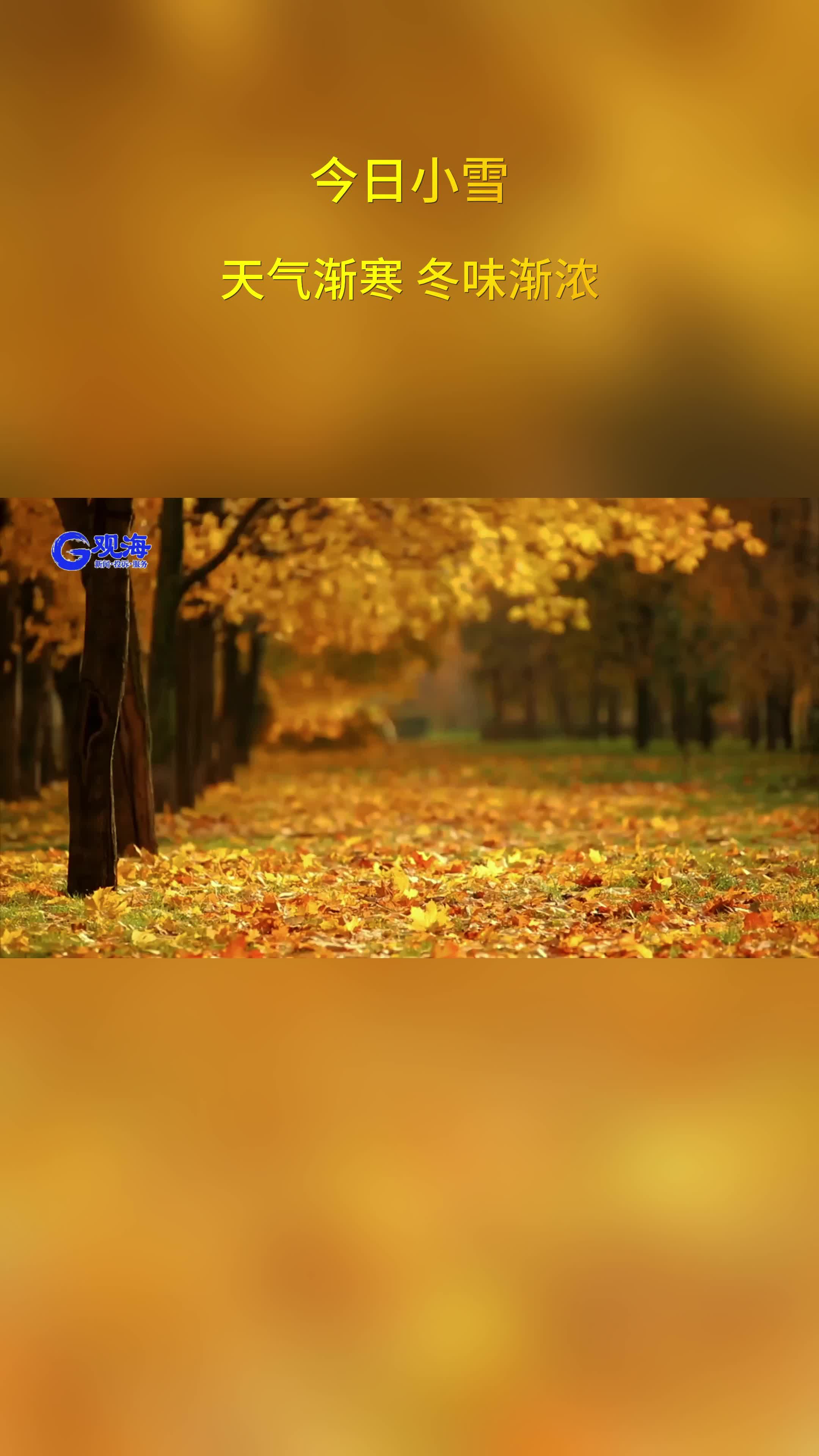 今日小雪：天气渐寒，冬味渐浓