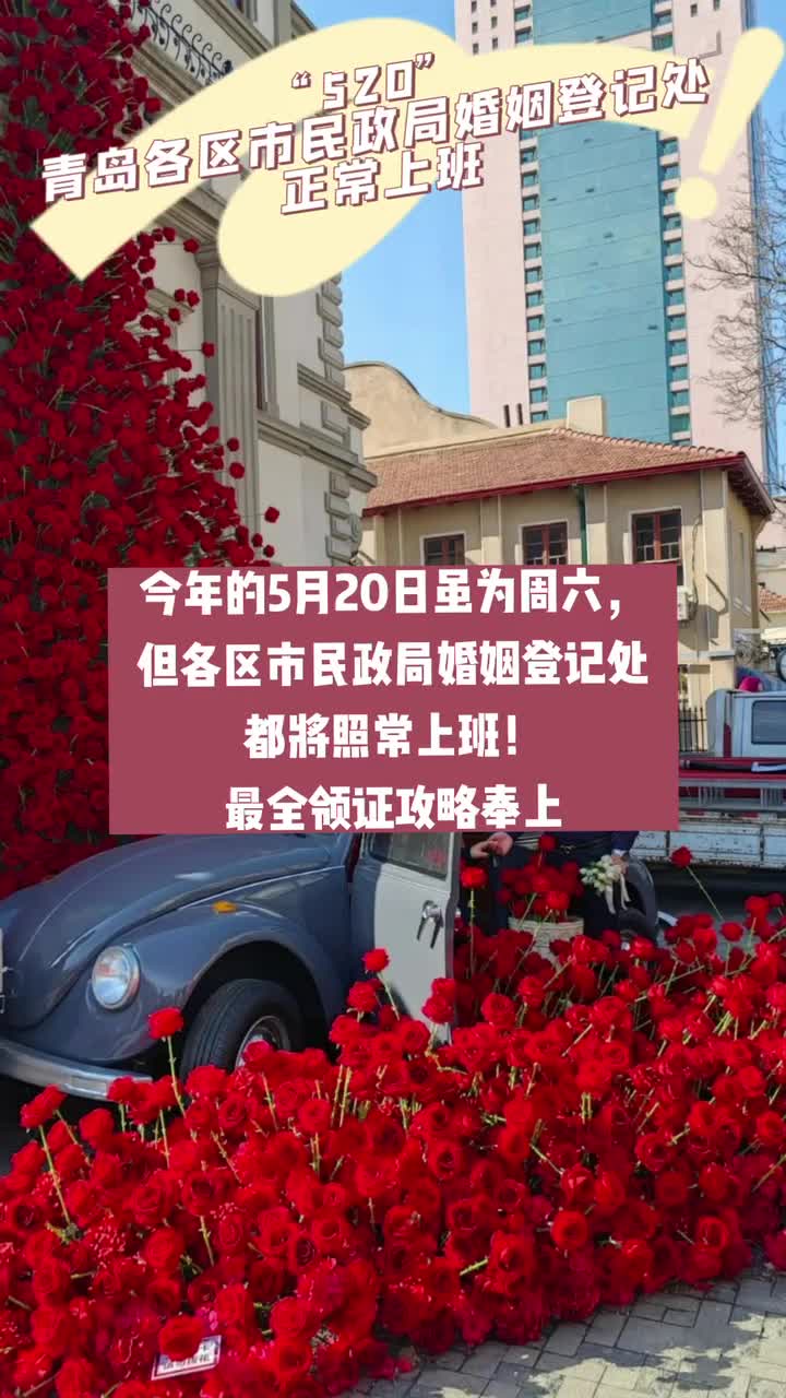 “520”青岛各区市民政局婚姻登记处正常上班！