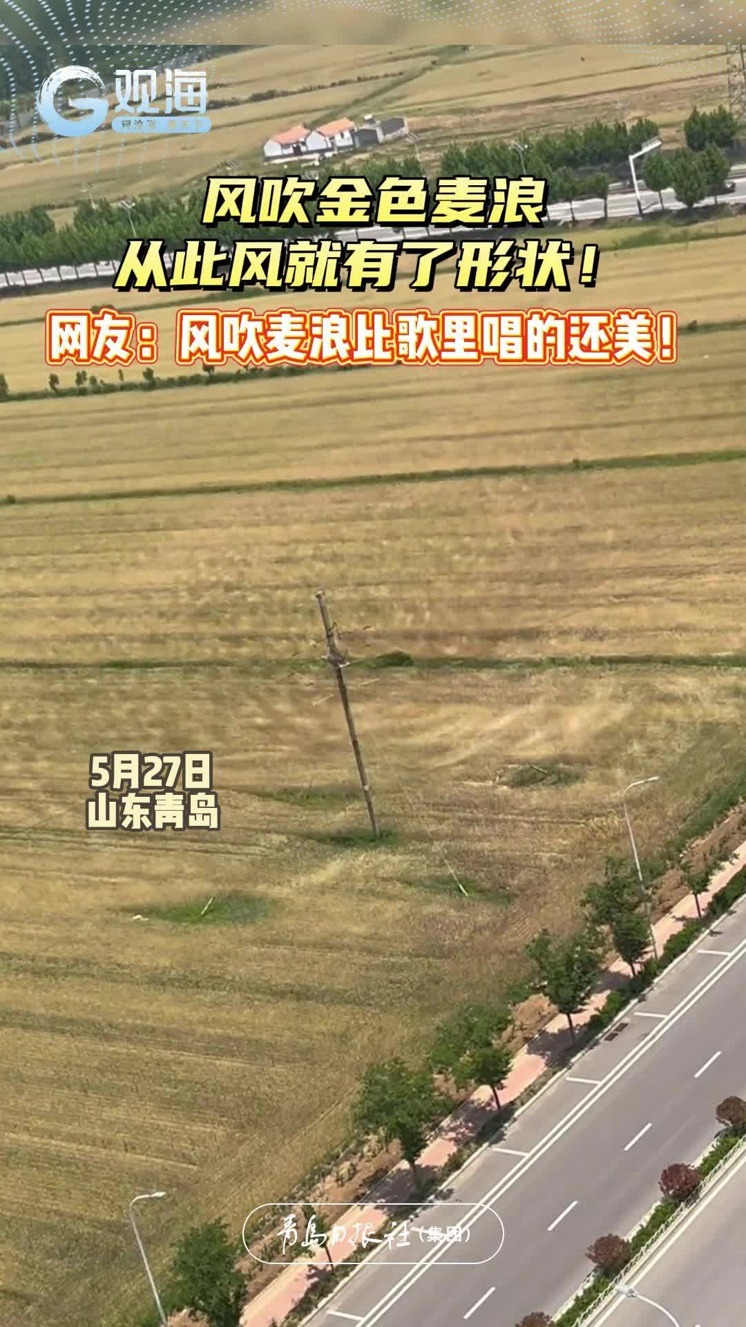 风吹金色麦浪，从此风就有了形状！