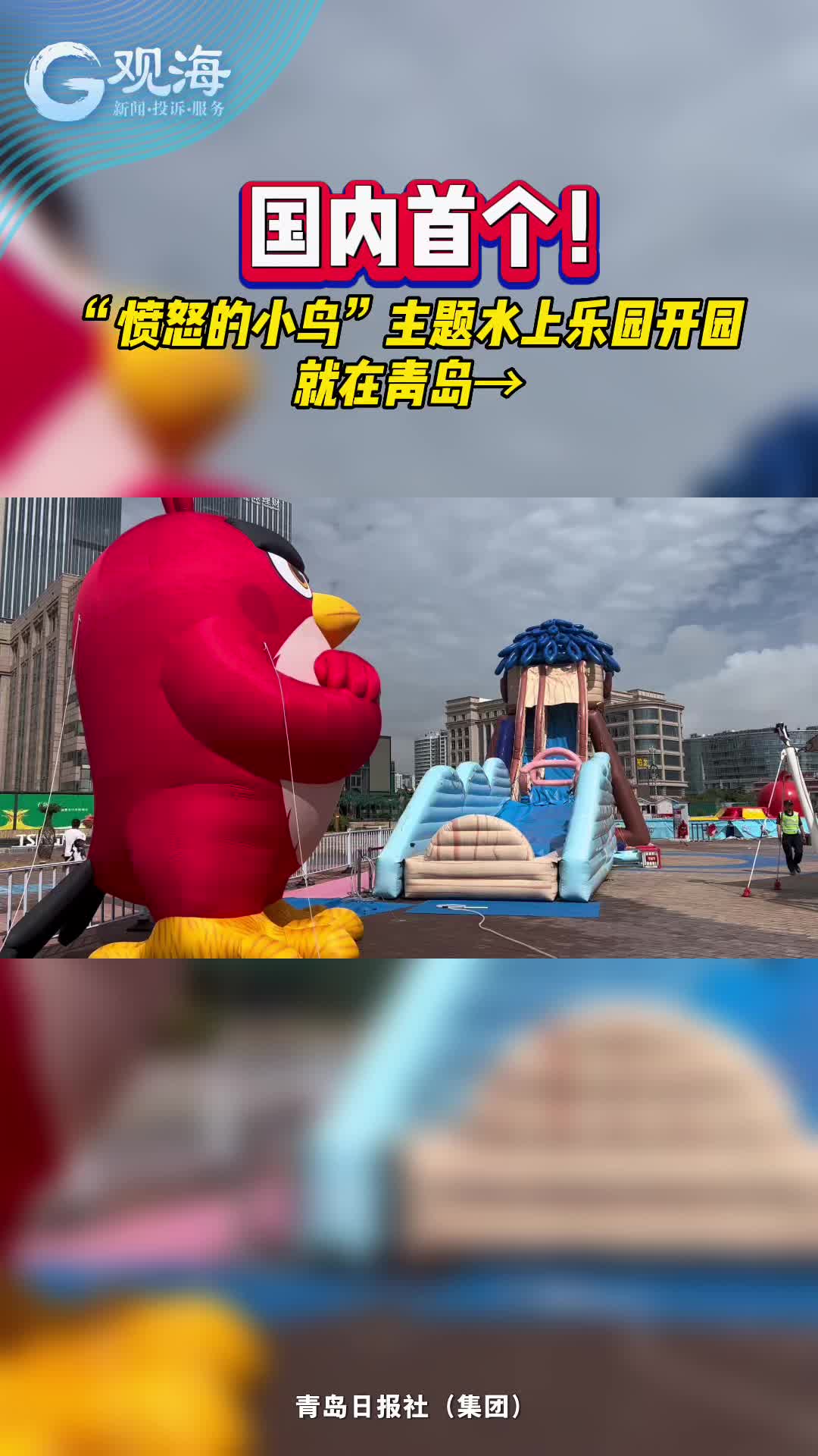 国内首个！“愤怒的小鸟”主题水上乐园开园，就在青岛→