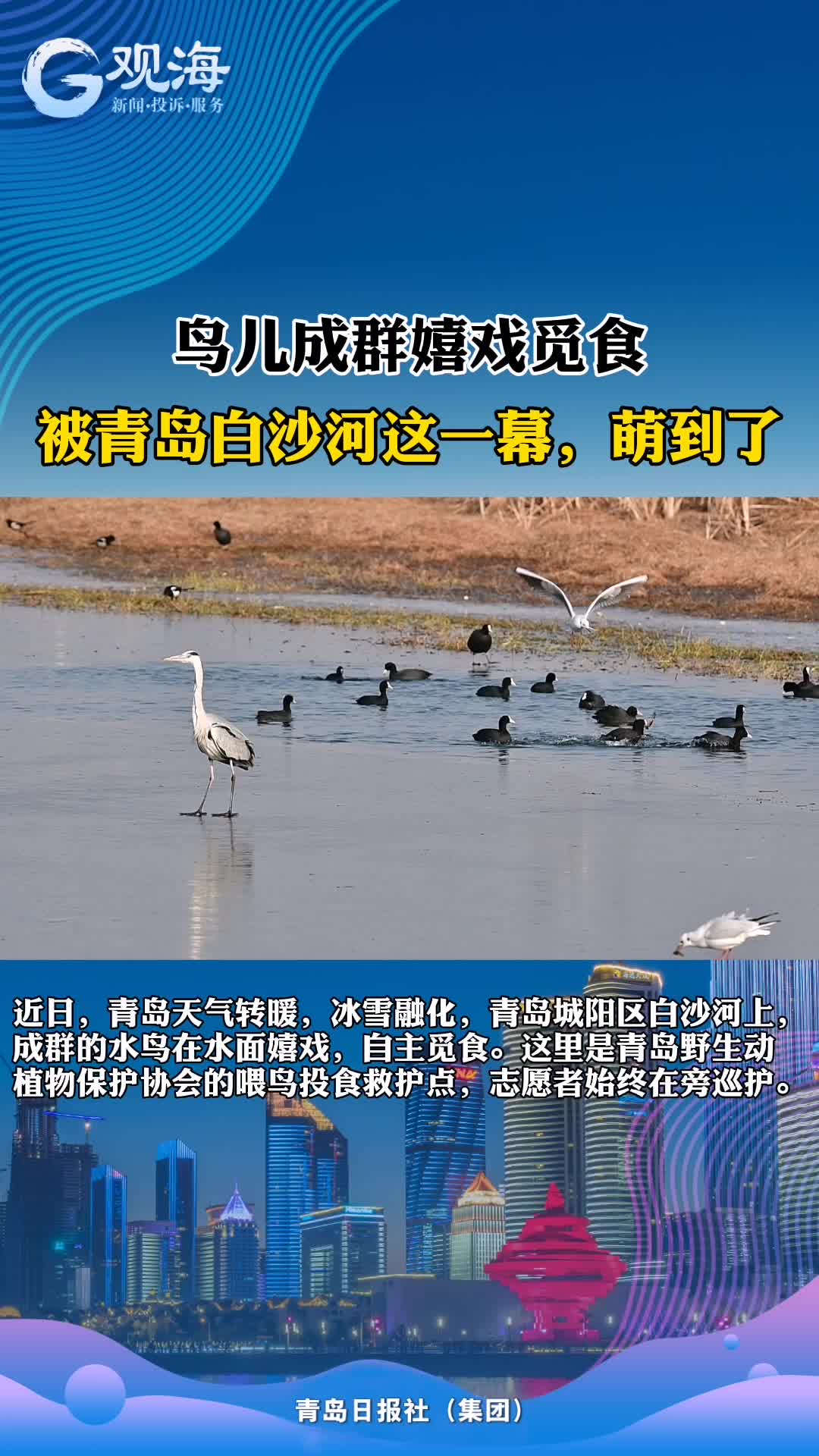 白沙河这一幕太有爱