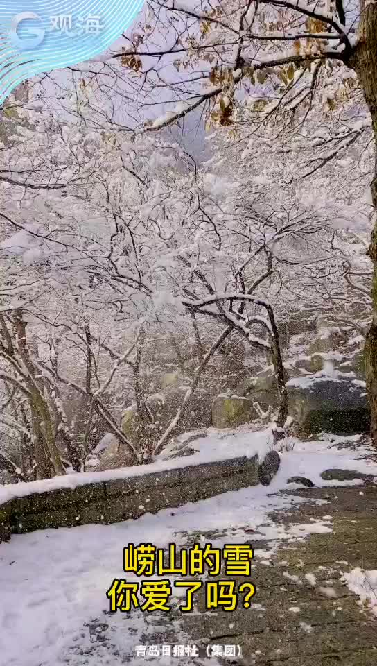 雪雪雪！最新大片