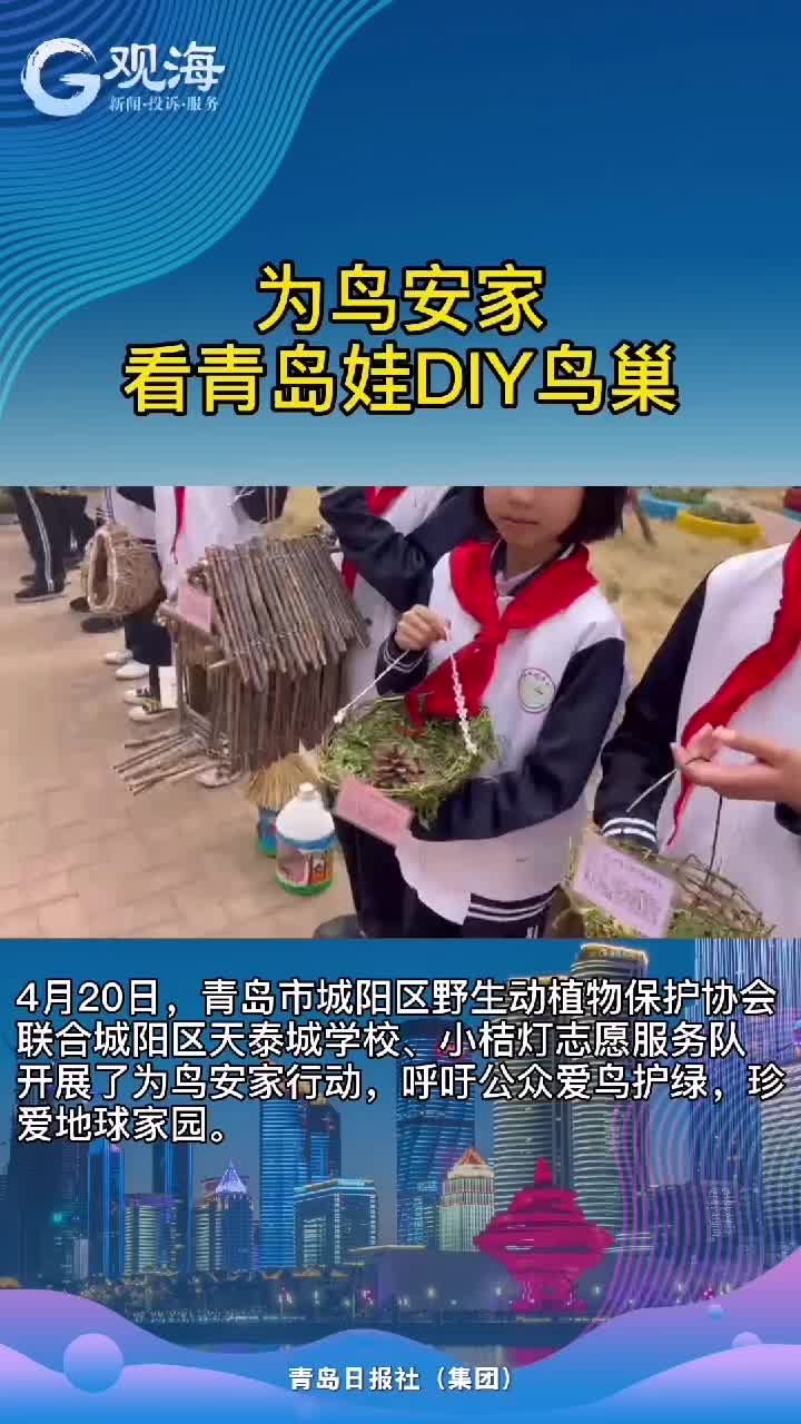 青岛娃DIY鸟巢