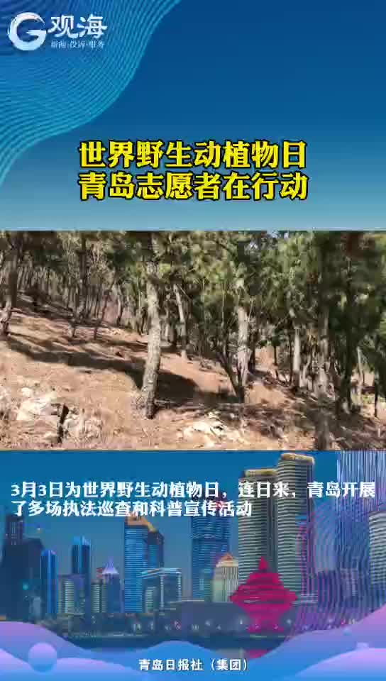 青岛娃“走心”了