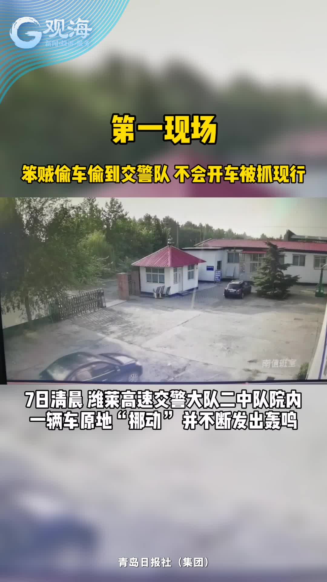 交警队偷车？大胆！
