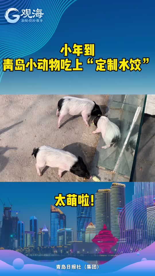 小动物吃上“定制餐”