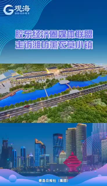 这片紫色海洋美翻!