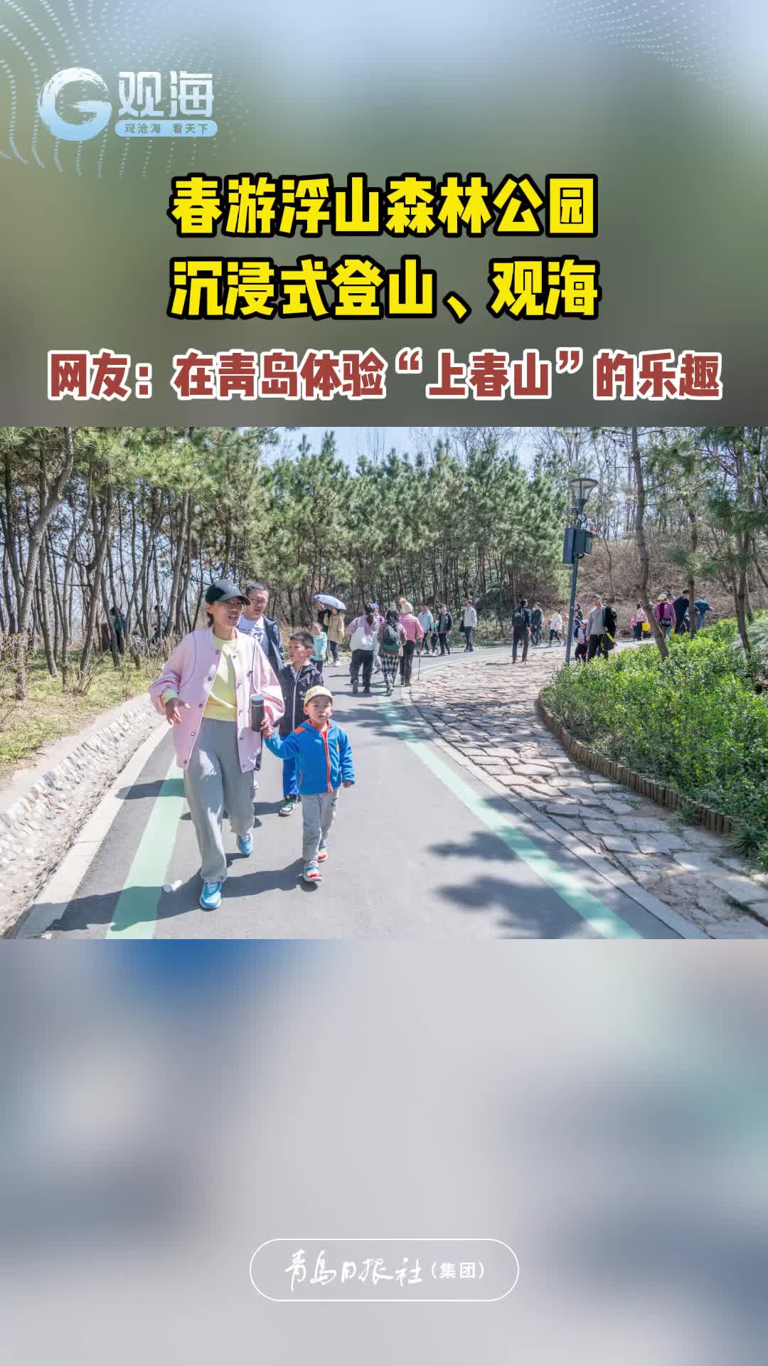 春游浮山森林公园，沉浸式登山、观海，网友：在青岛体验“上春山”的乐趣