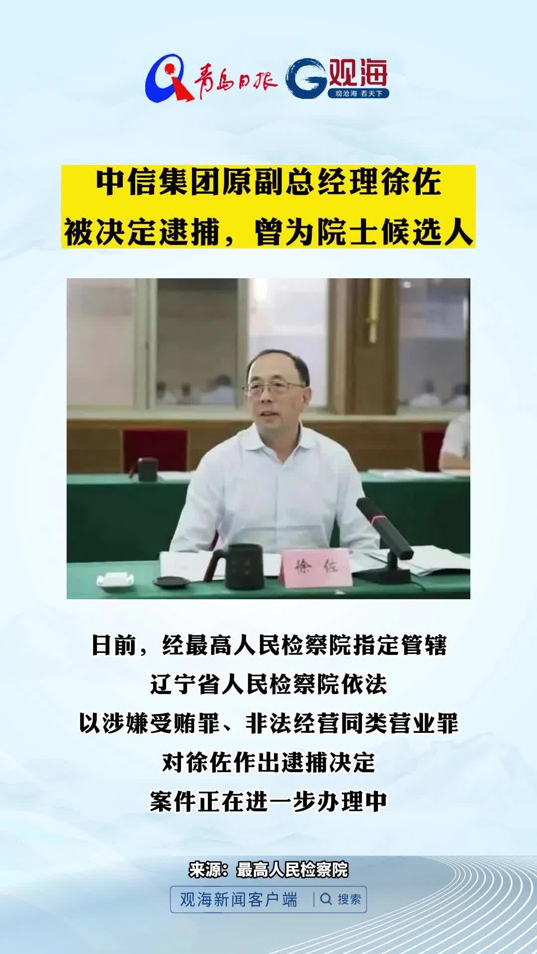 中信集团原副总经理徐佐被决定逮捕，曾为院士候选人