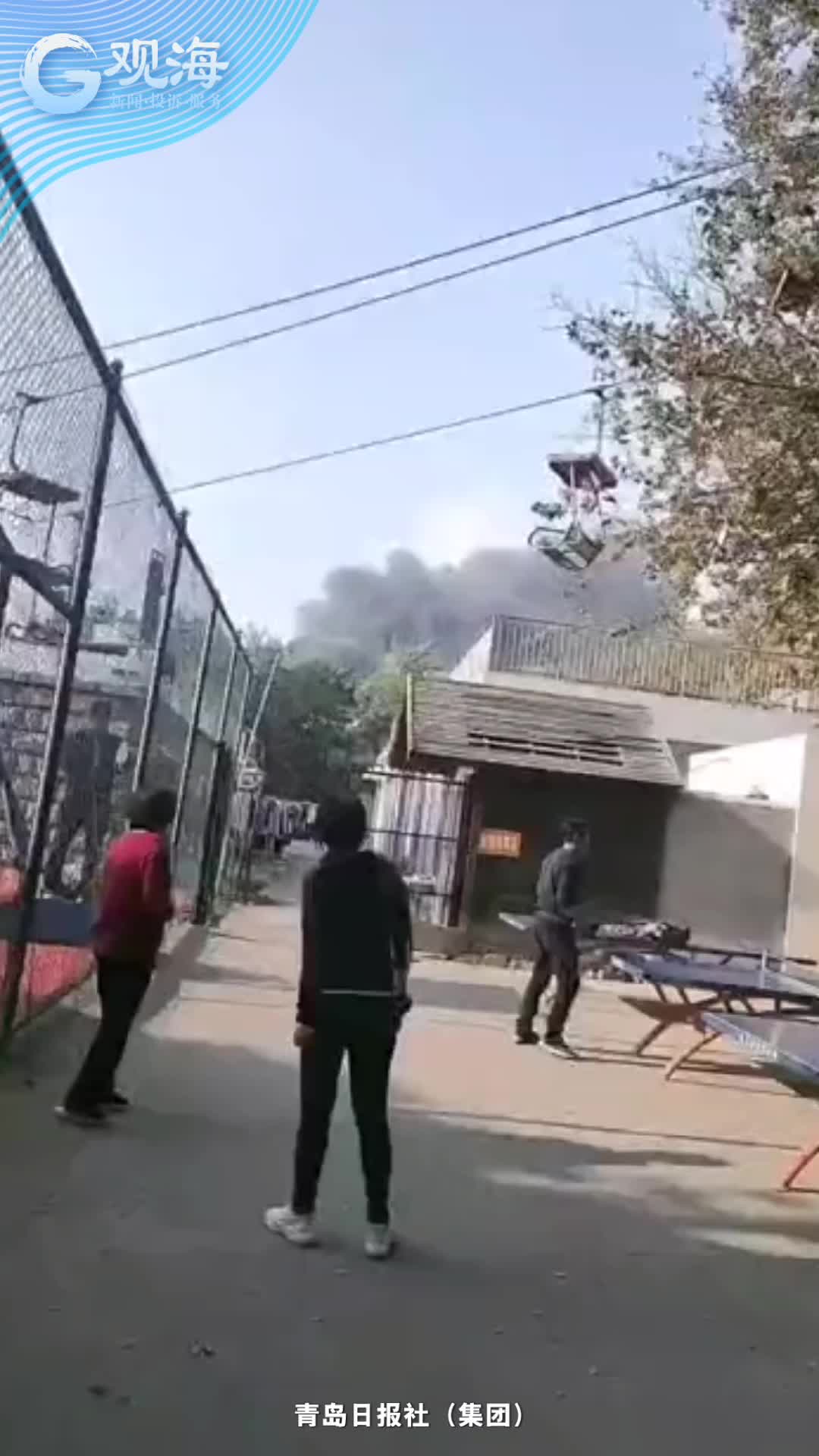 突发!动物园起火…