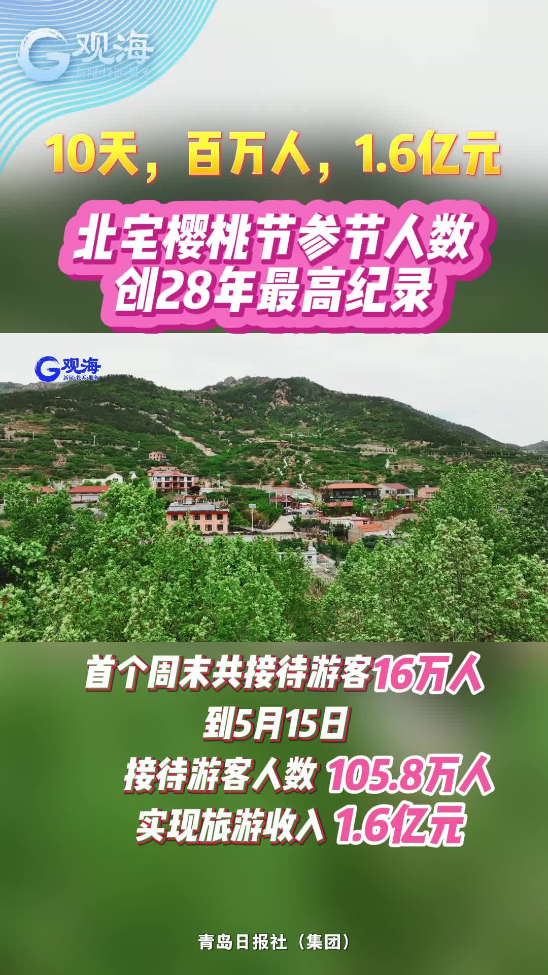 10天，百万人，1.6亿元！北宅樱桃节参节人数创28年最高纪录