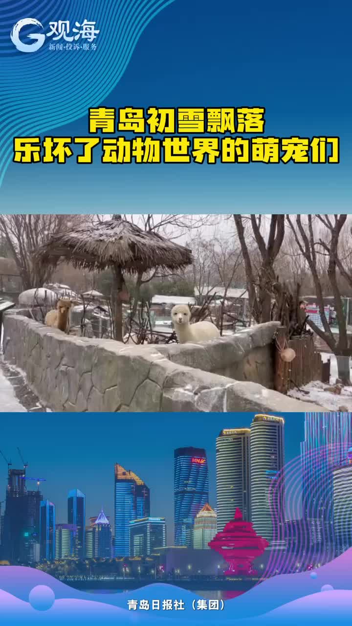 萌宠遇到雪以后……