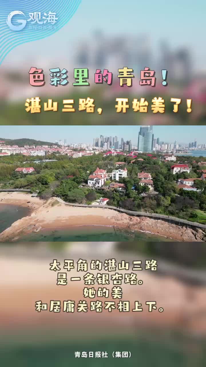 色彩里的青岛！湛山三路，开始美了！