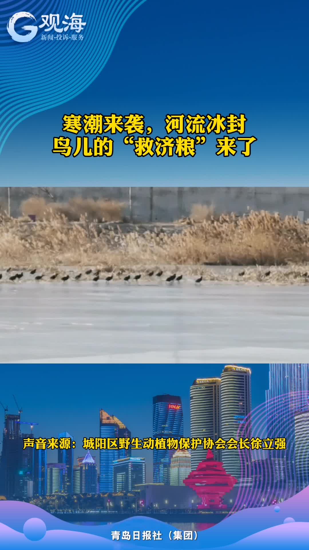 鸟儿的“救济粮”来了