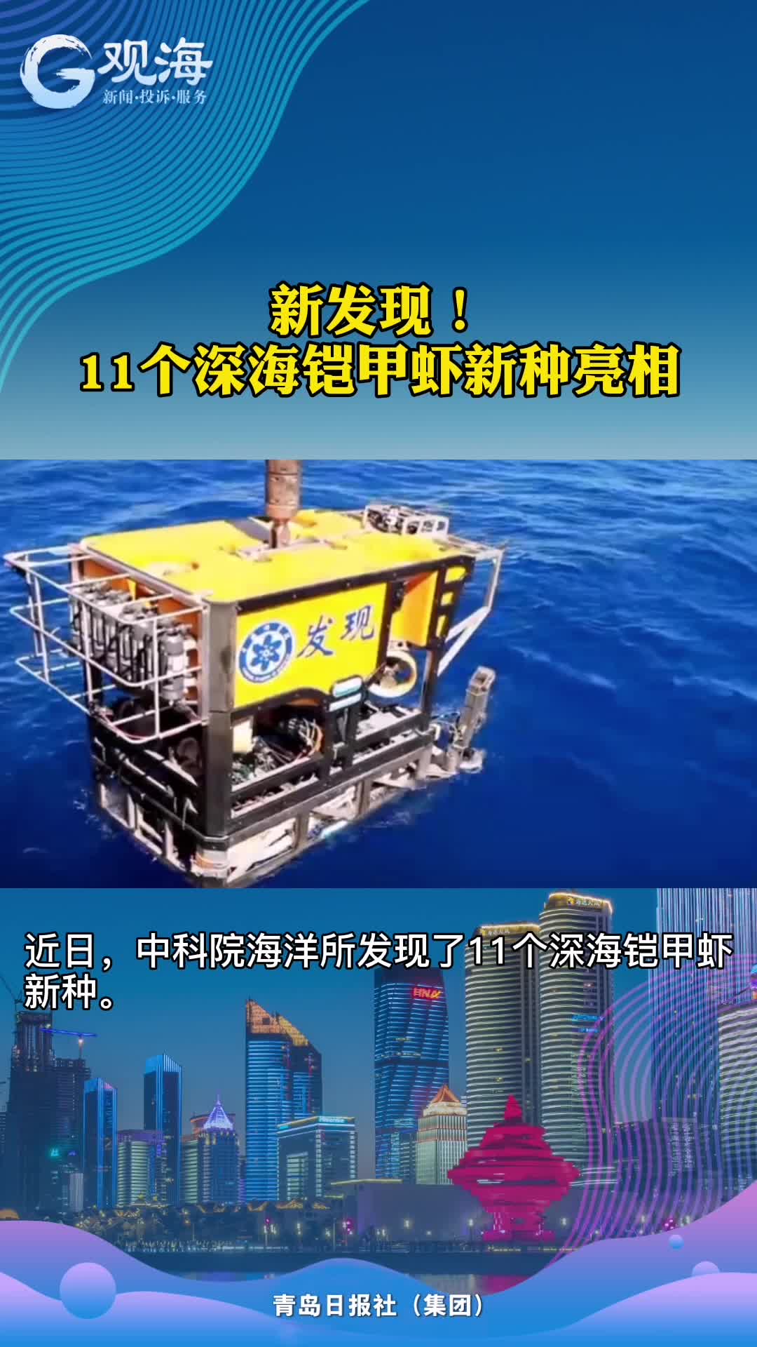 深海铠甲虾？认识么