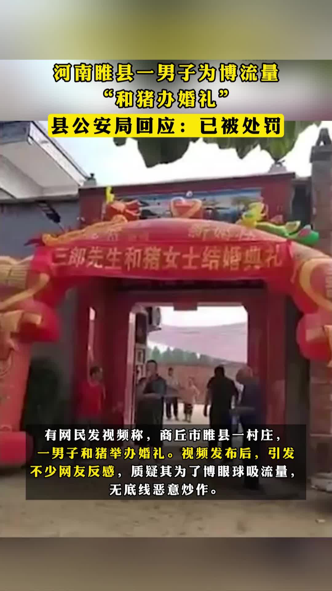 河南睢县一男子为博流量“和猪办婚礼”，县公安局回应：已被处罚