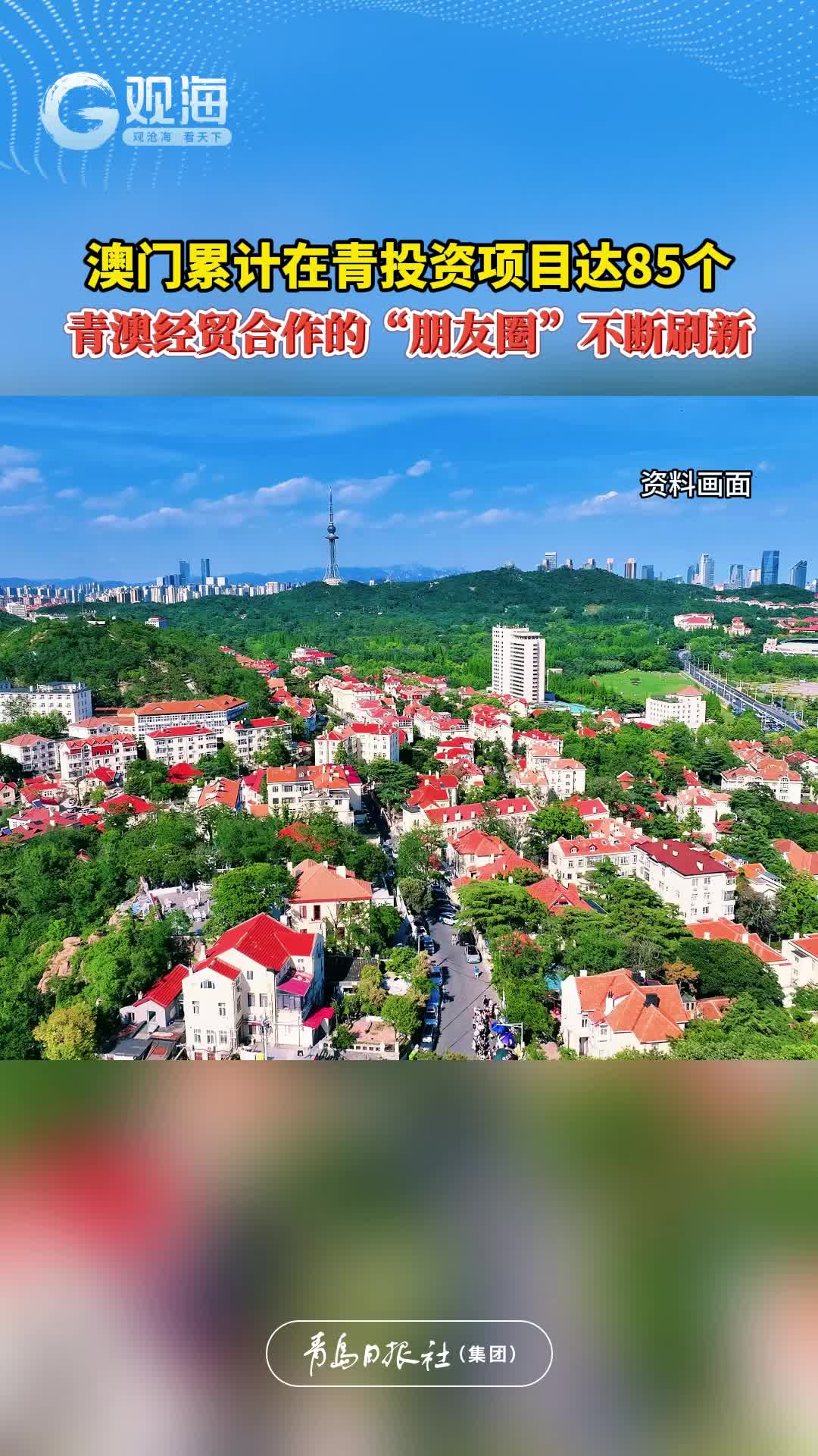 澳门累计在青投资项目达85个，青澳经贸合作的“朋友圈”不断刷新