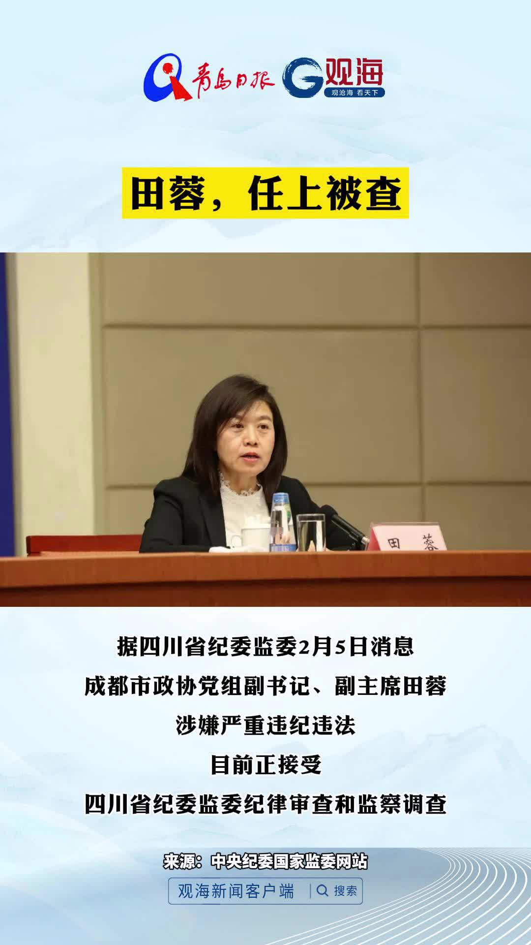 田蓉，任上被查