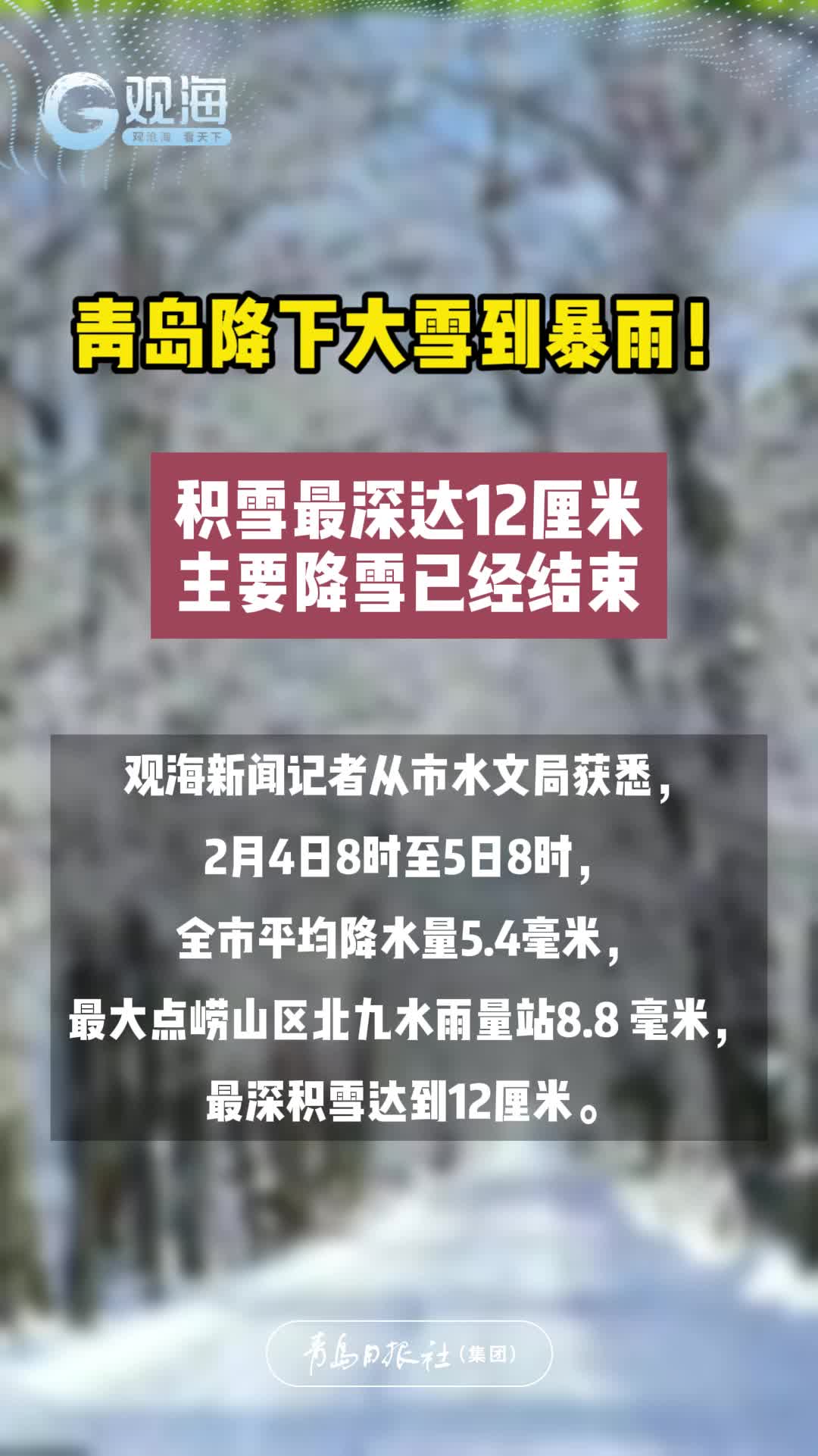青岛降下大雪到暴雪！积雪最深达12厘米，主要降雪已经结束