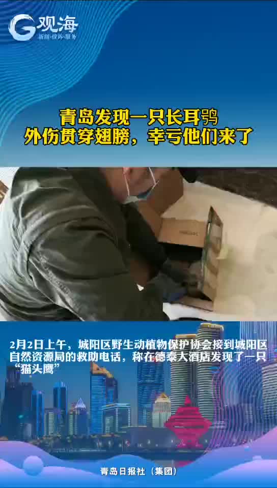 被救的它竟是……