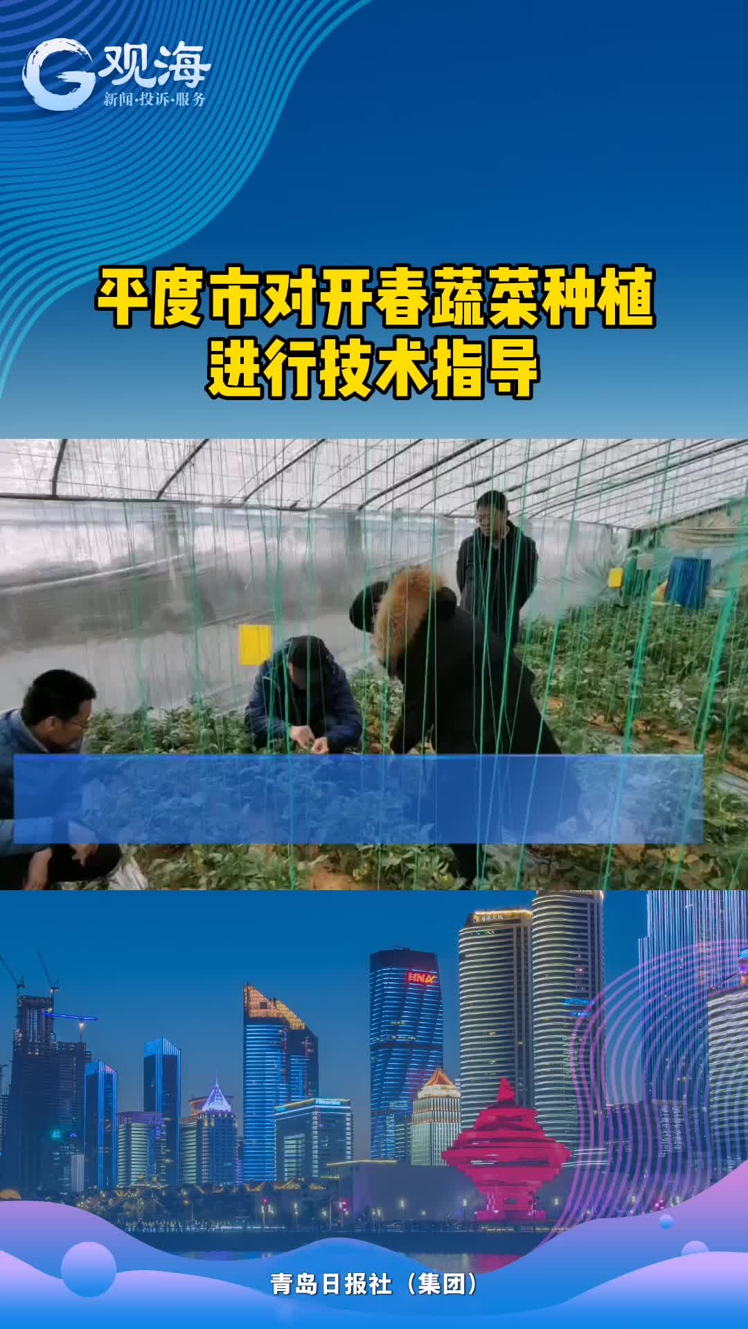 技术指导为蔬菜种植保驾护航