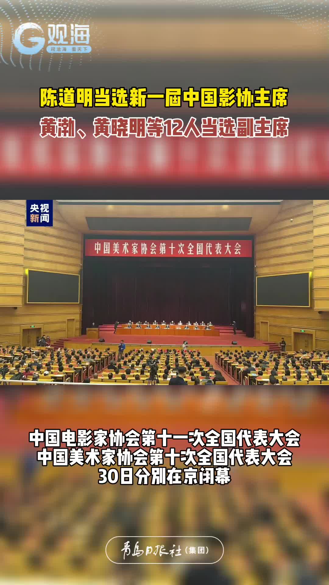 陈道明当选新一届中国影协主席，黄渤、黄晓明等12人当选副主席