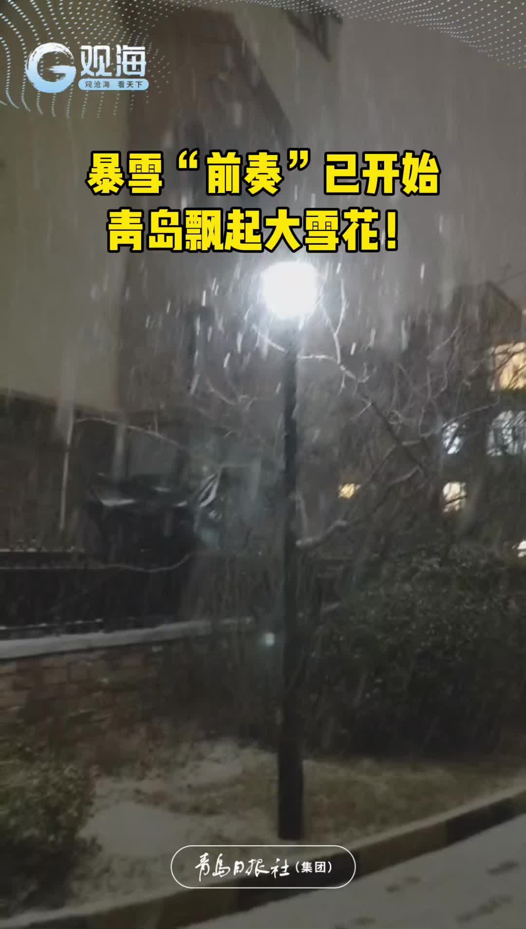 暴雪“前奏”已开始，青岛飘起大雪花！