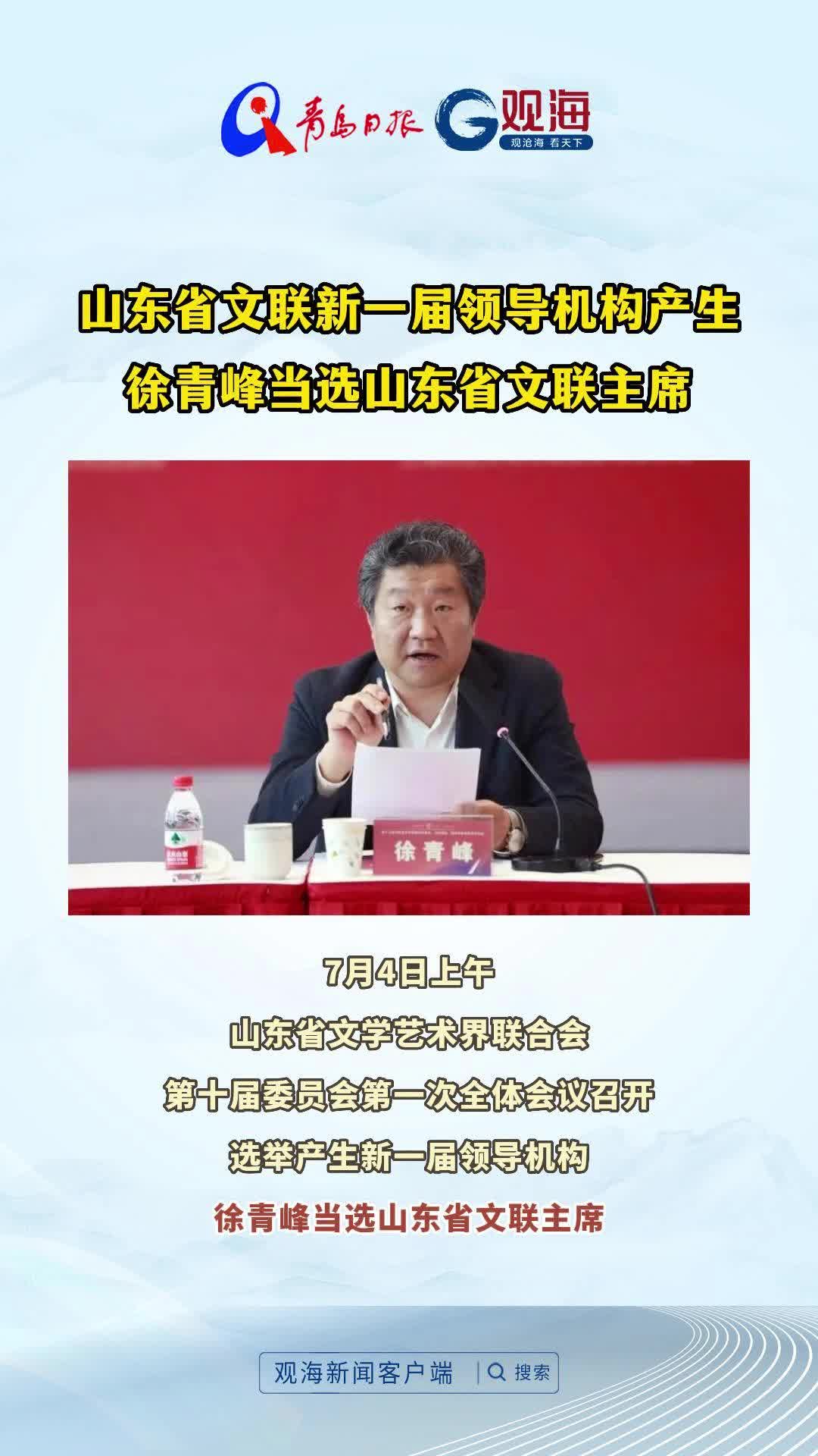 徐青峰当选山东省文联主席